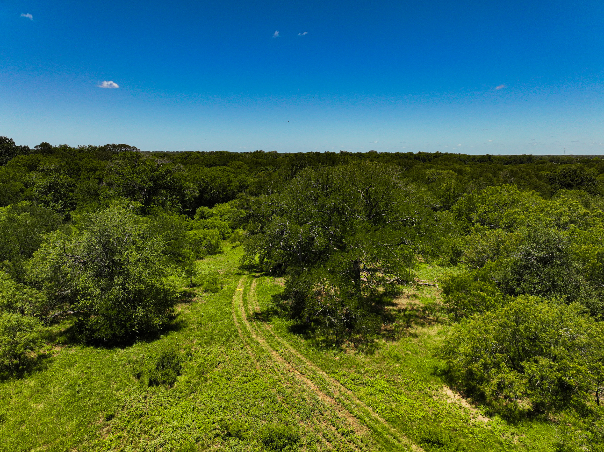 TBD FM 86, Luling, Texas 76028, ,Land,For Sale,FM 86,1061