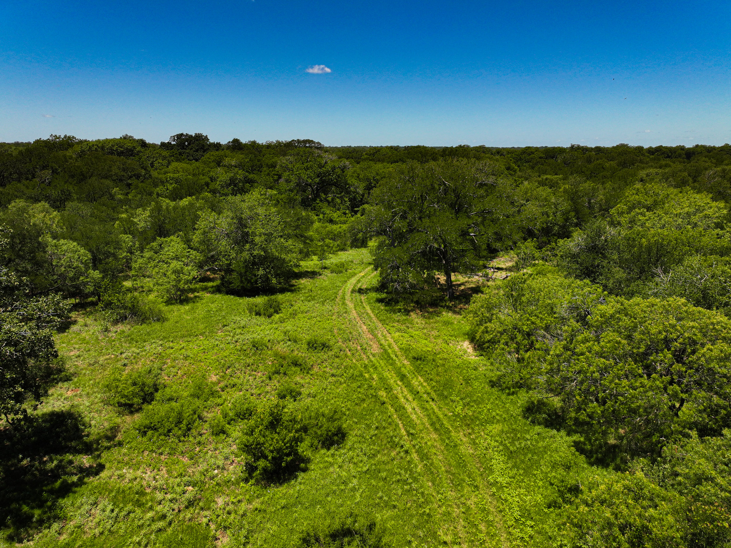 TBD FM 86, Luling, Texas 76028, ,Land,For Sale,FM 86,1061