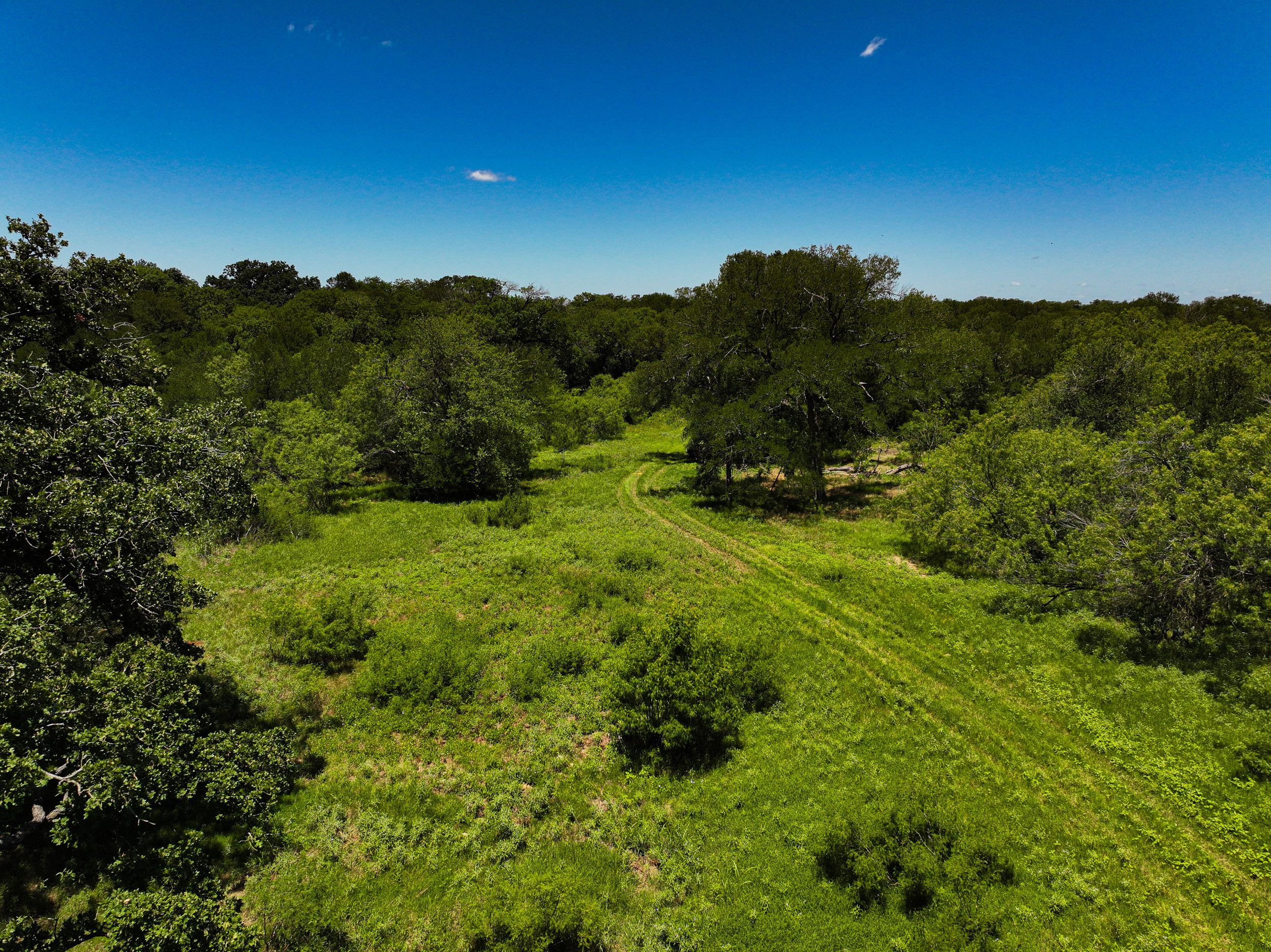 TBD FM 86, Luling, Texas 76028, ,Land,For Sale,FM 86,1061