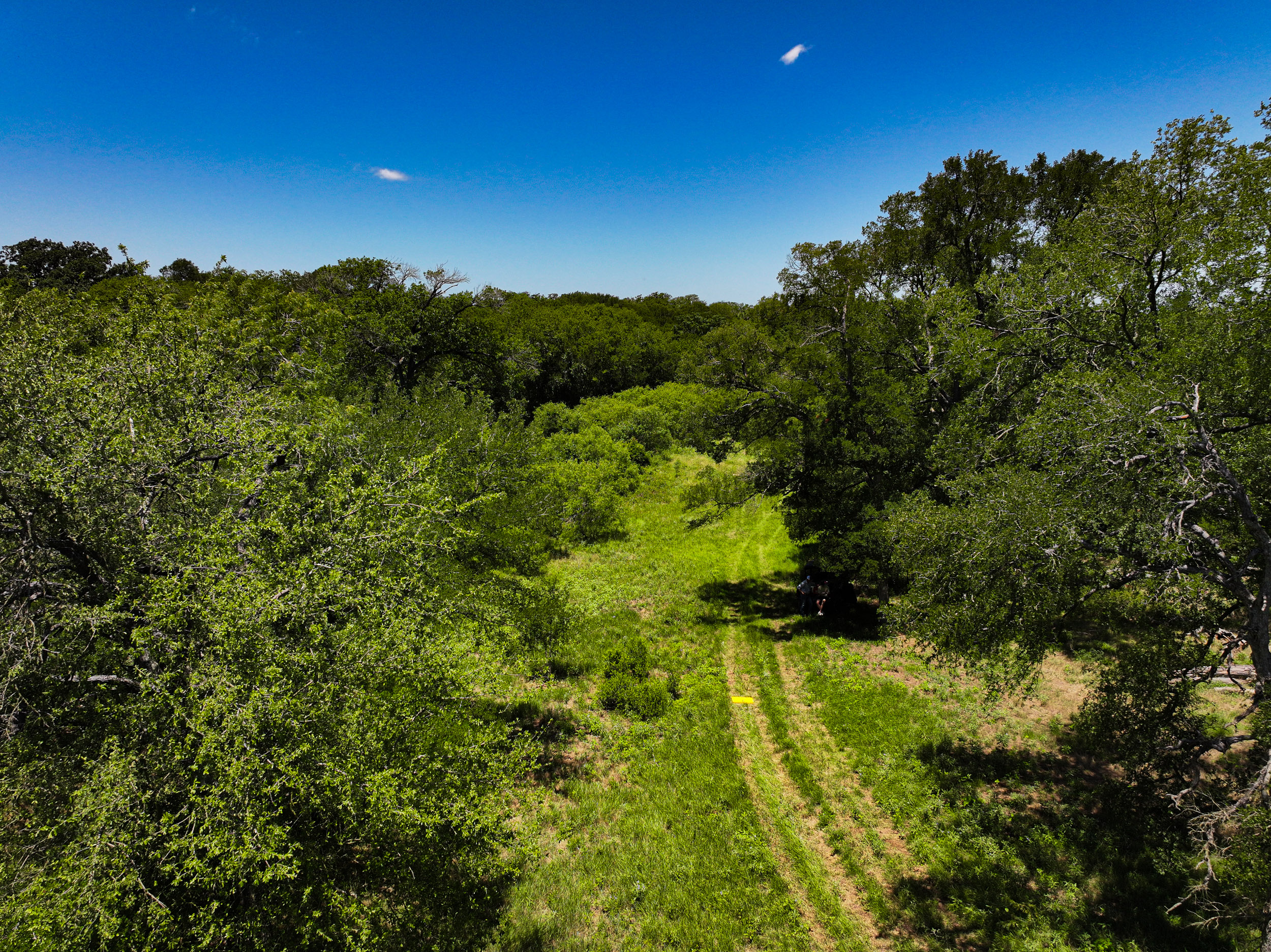 TBD FM 86, Luling, Texas 76028, ,Land,For Sale,FM 86,1061
