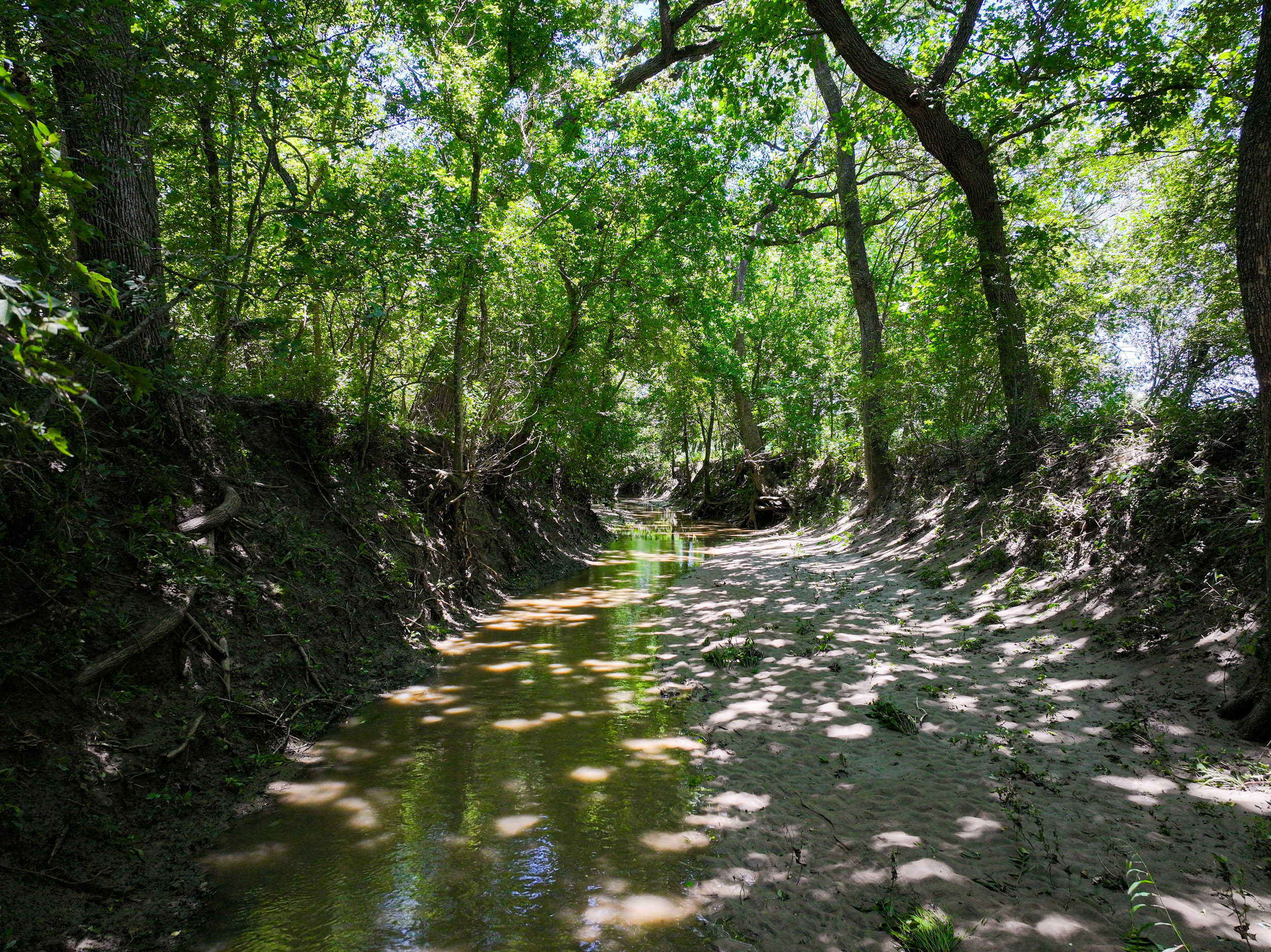 TBD FM 86, Luling, Texas 76028, ,Land,For Sale,FM 86,1061