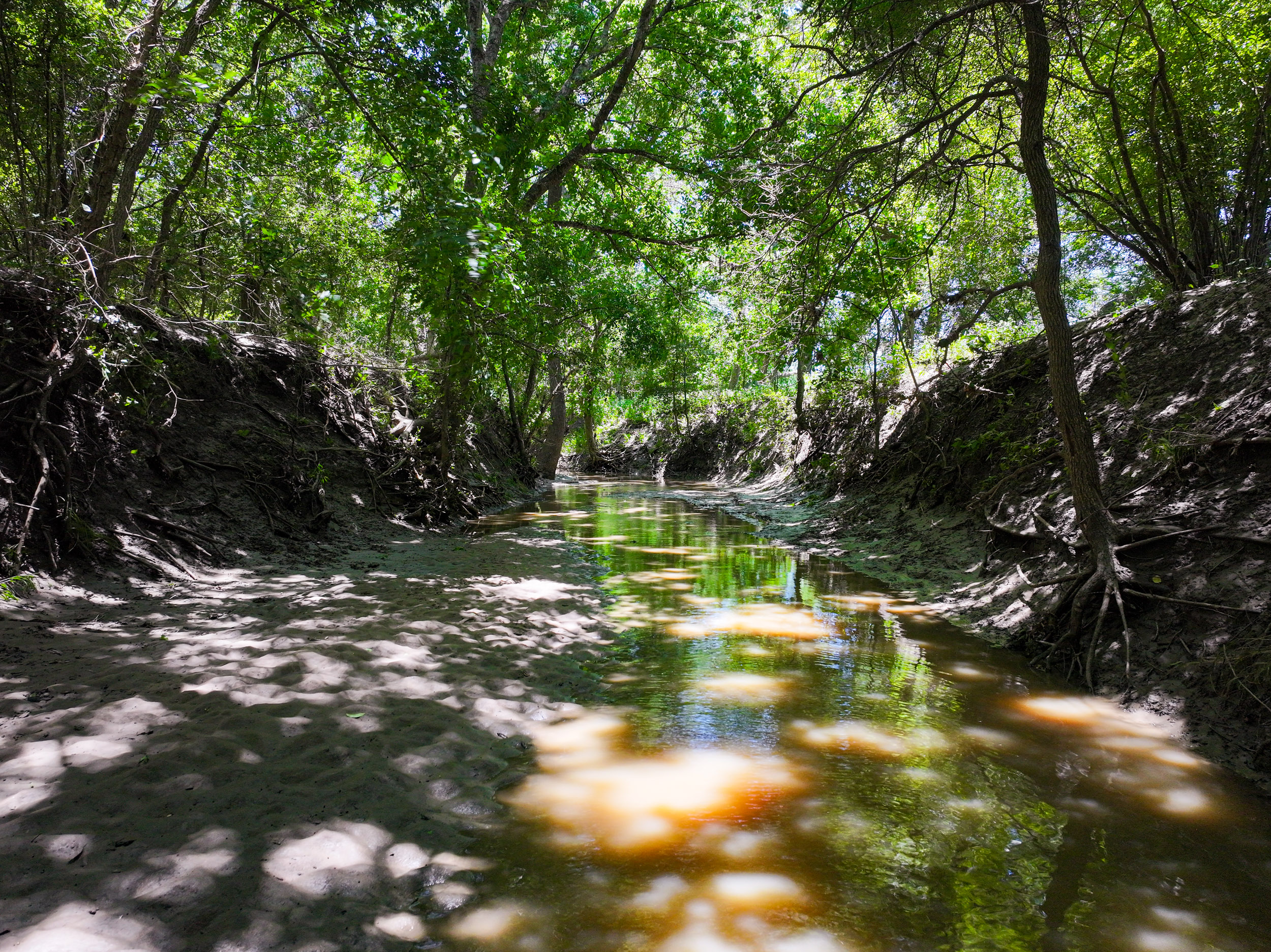 TBD FM 86, Luling, Texas 76028, ,Land,For Sale,FM 86,1061