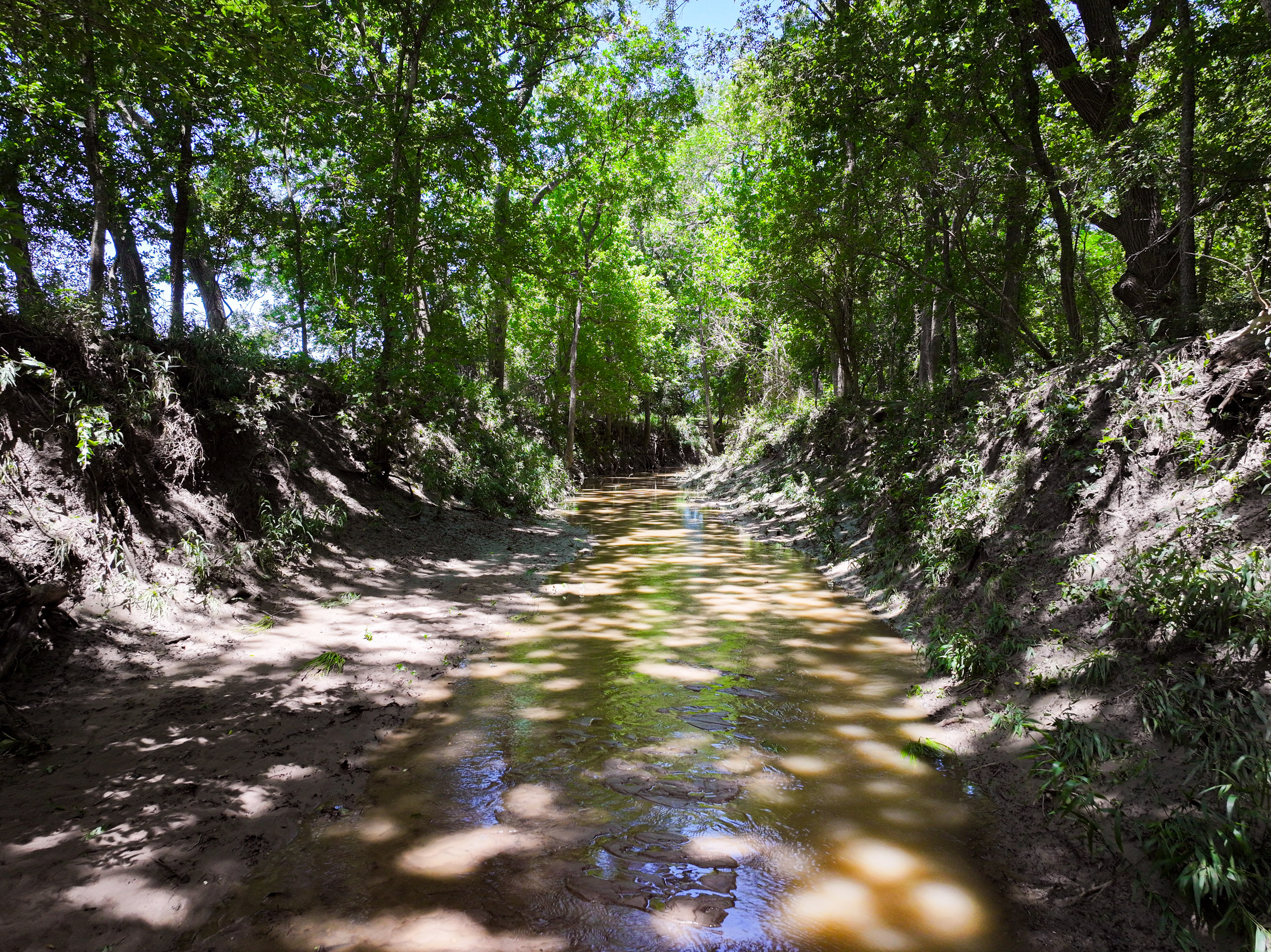 TBD FM 86, Luling, Texas 76028, ,Land,For Sale,FM 86,1061