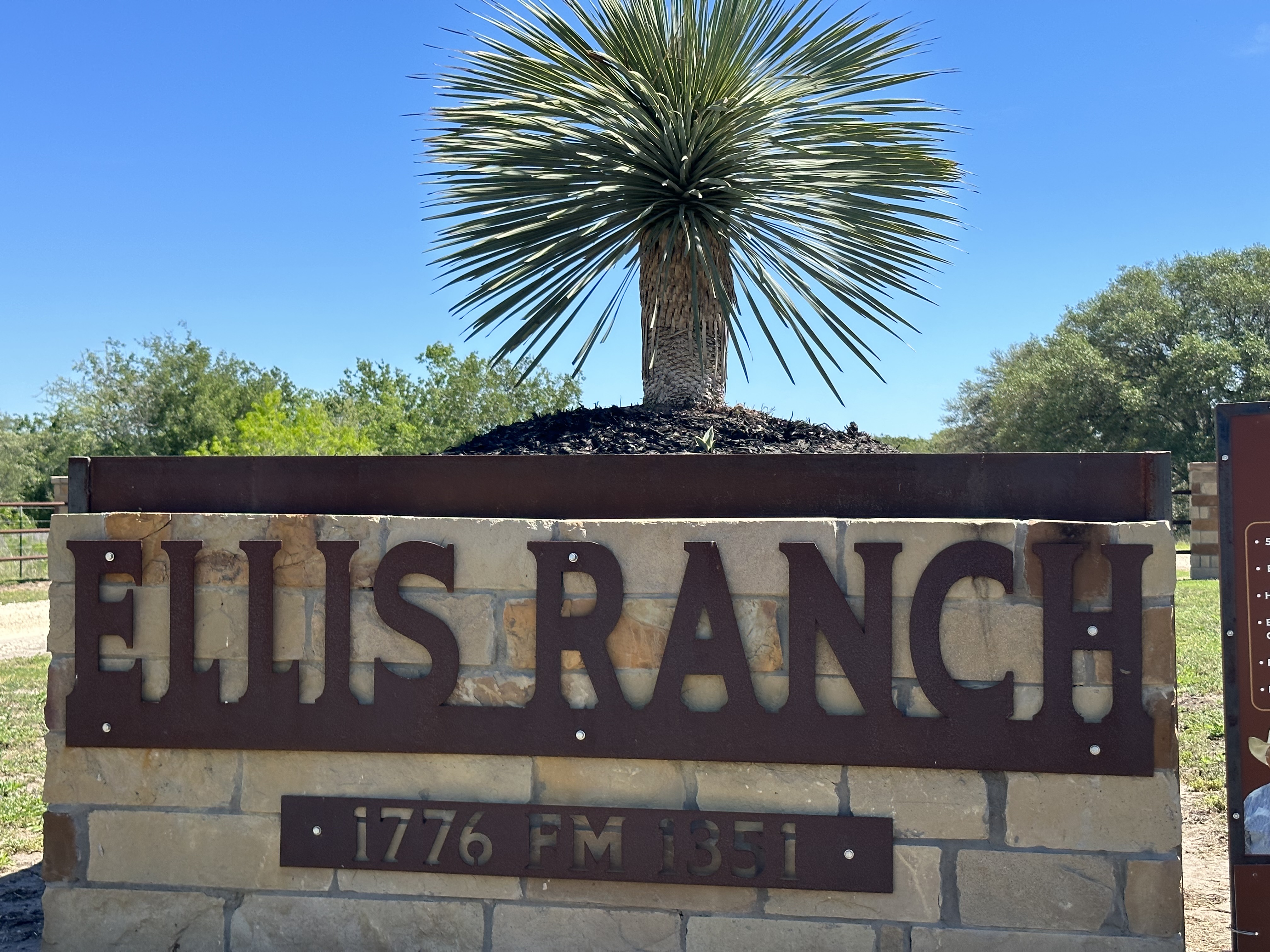 South Texas Land
Goliad TX
Texas Coast