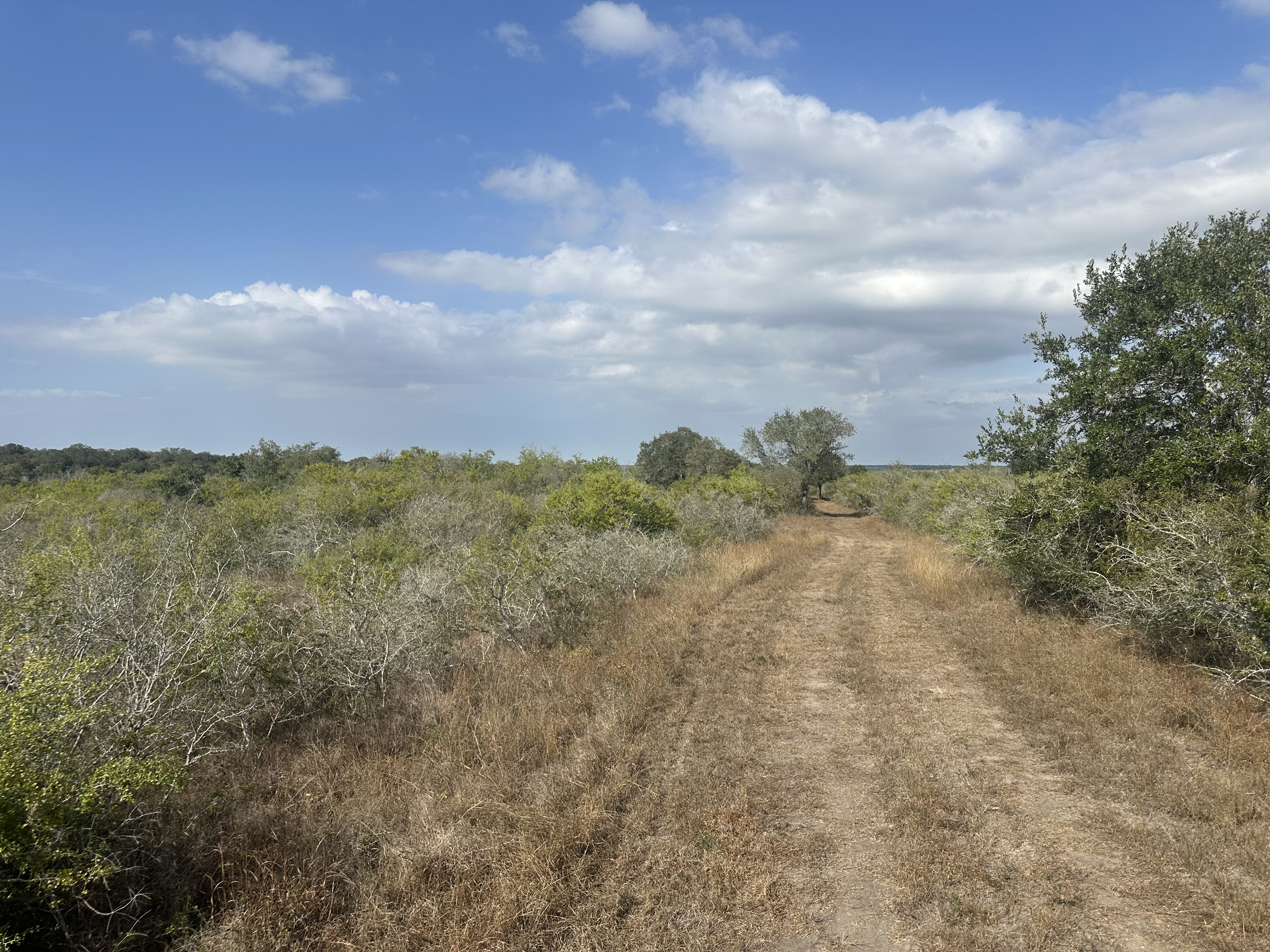 South Texas Land
Goliad TX
Texas Coast