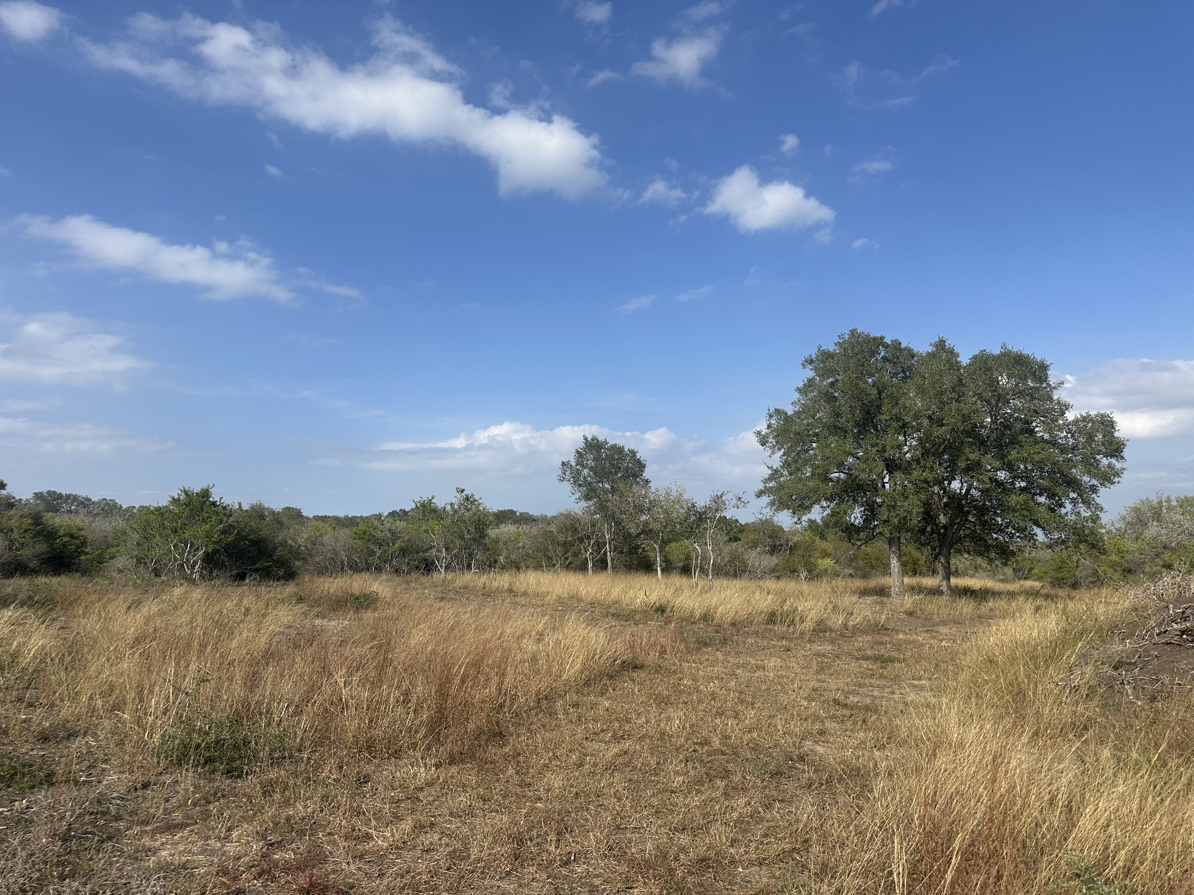 South Texas Land
Goliad TX
Texas Coast