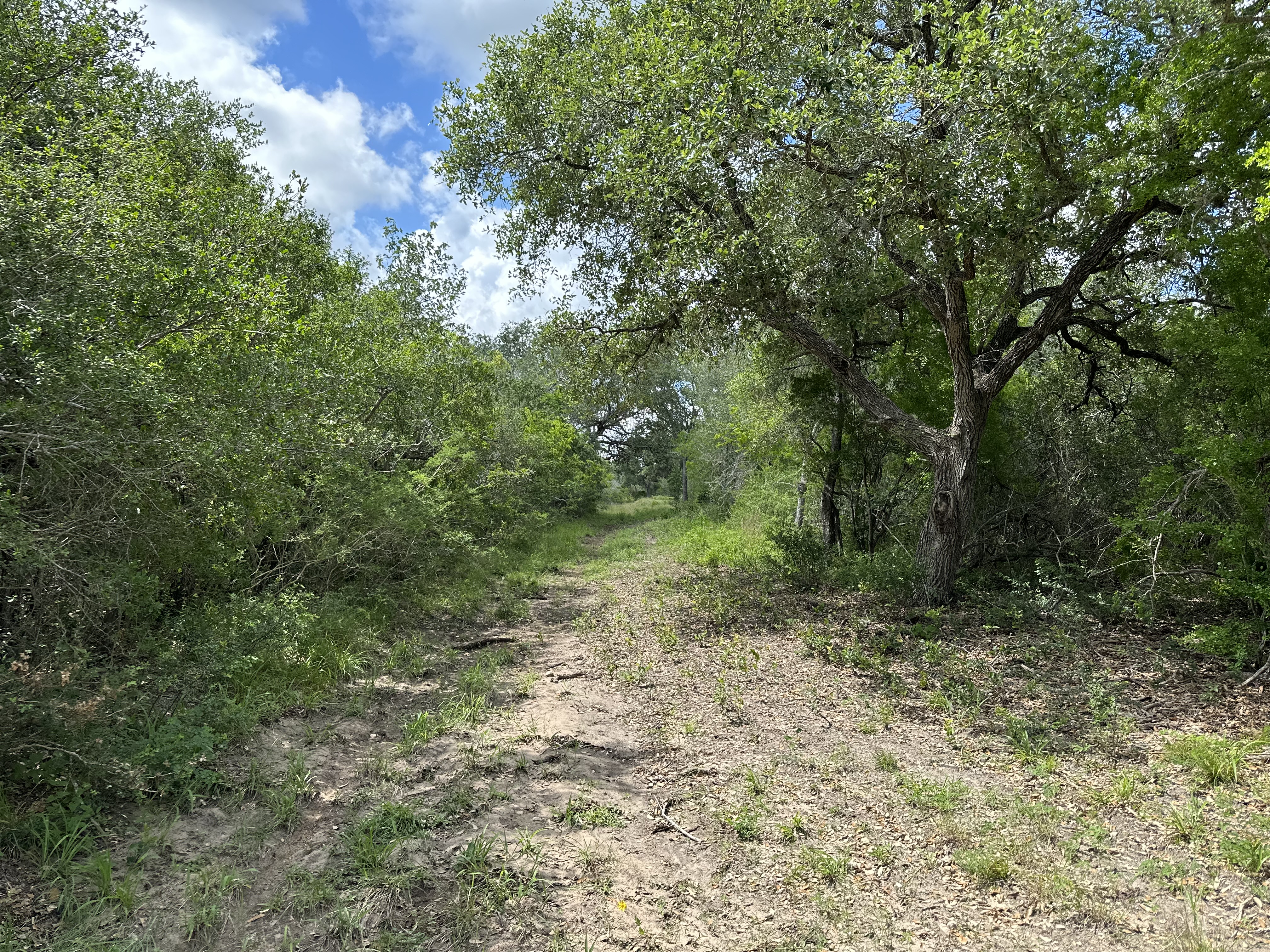 Views
Hunting
Wildlife
Trees