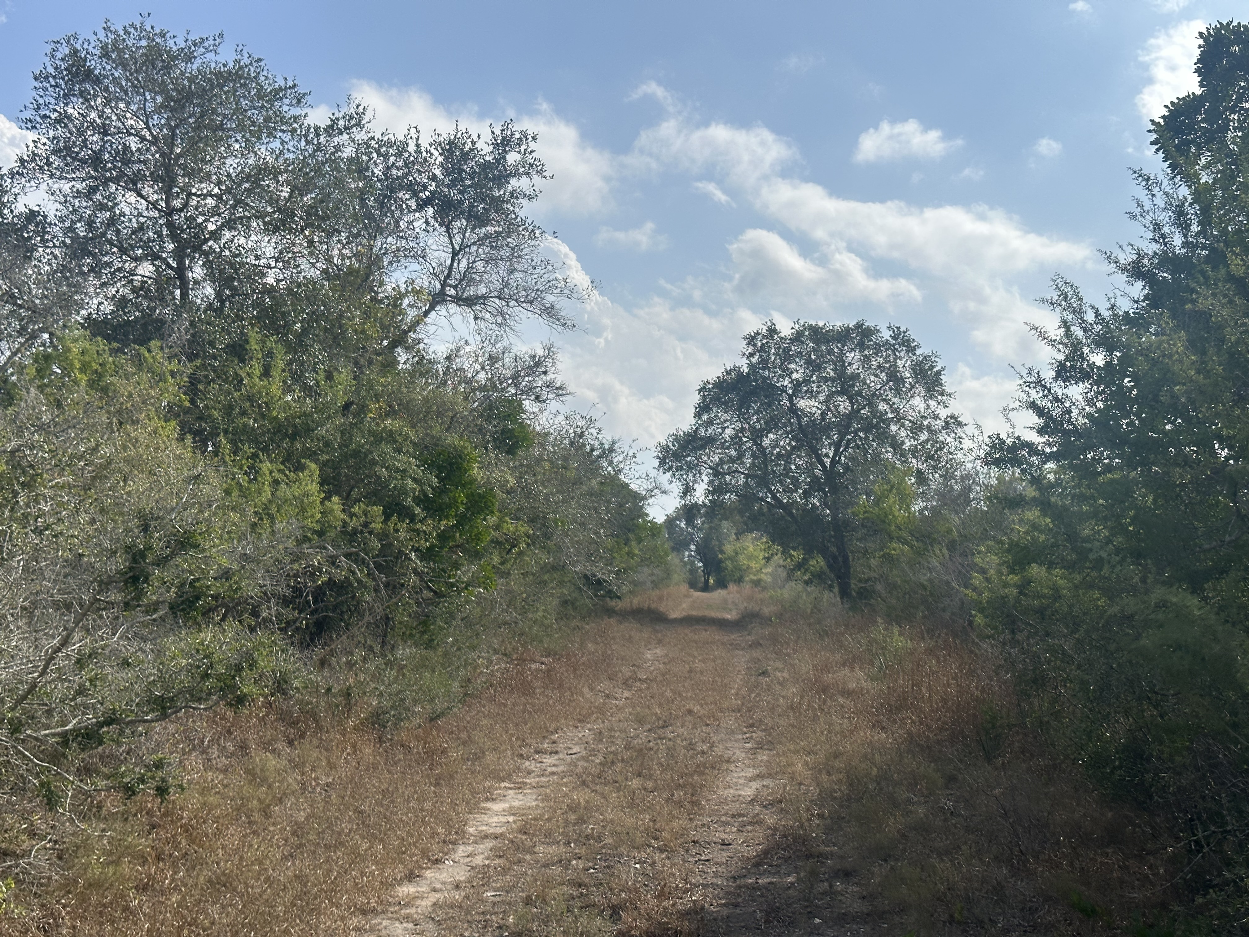1776 FM 1351, Goliad, Texas 77963, ,Land,For Sale,1071
