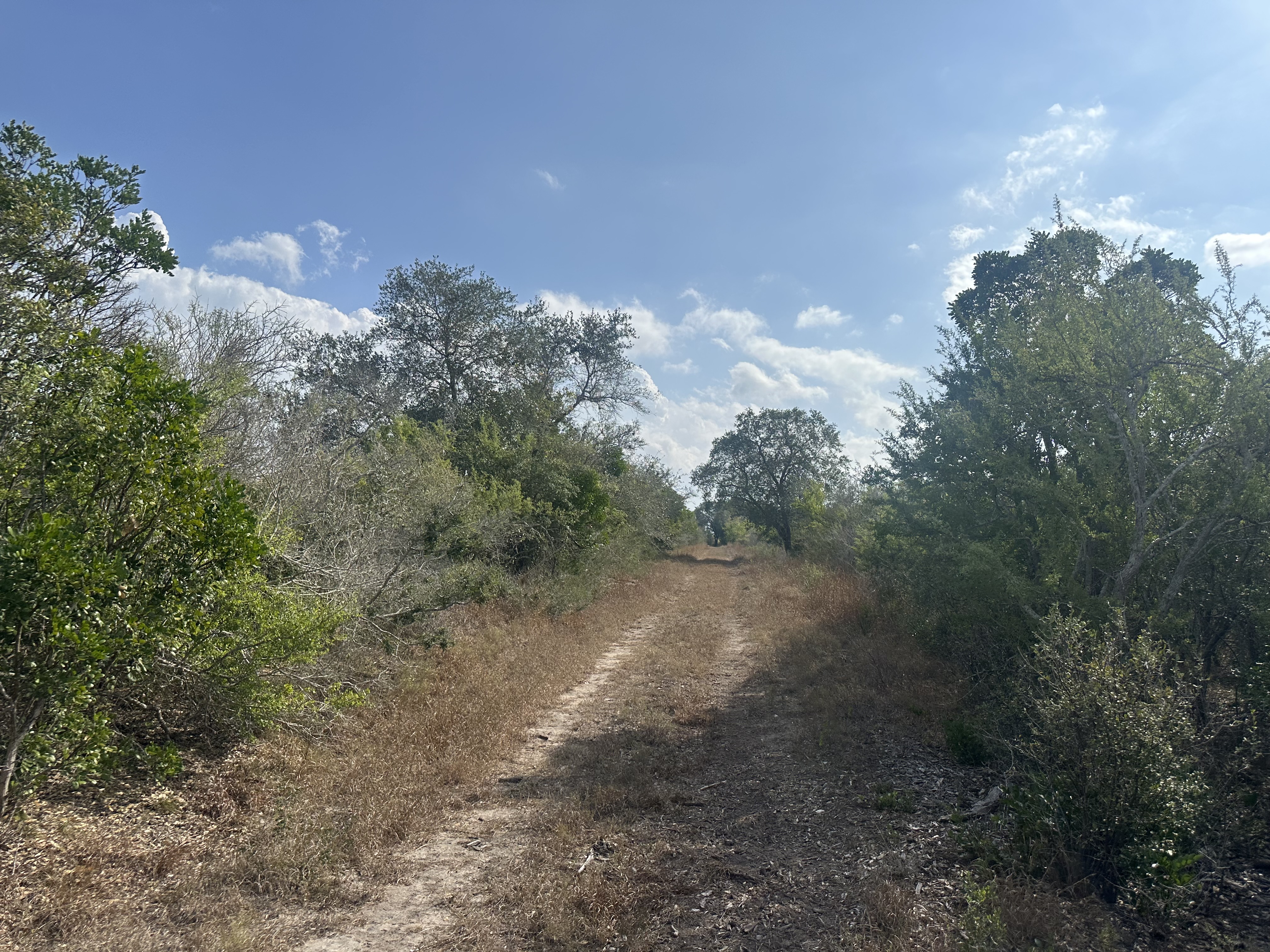 1776 FM 1351, Goliad, Texas 77963, ,Land,For Sale,1071