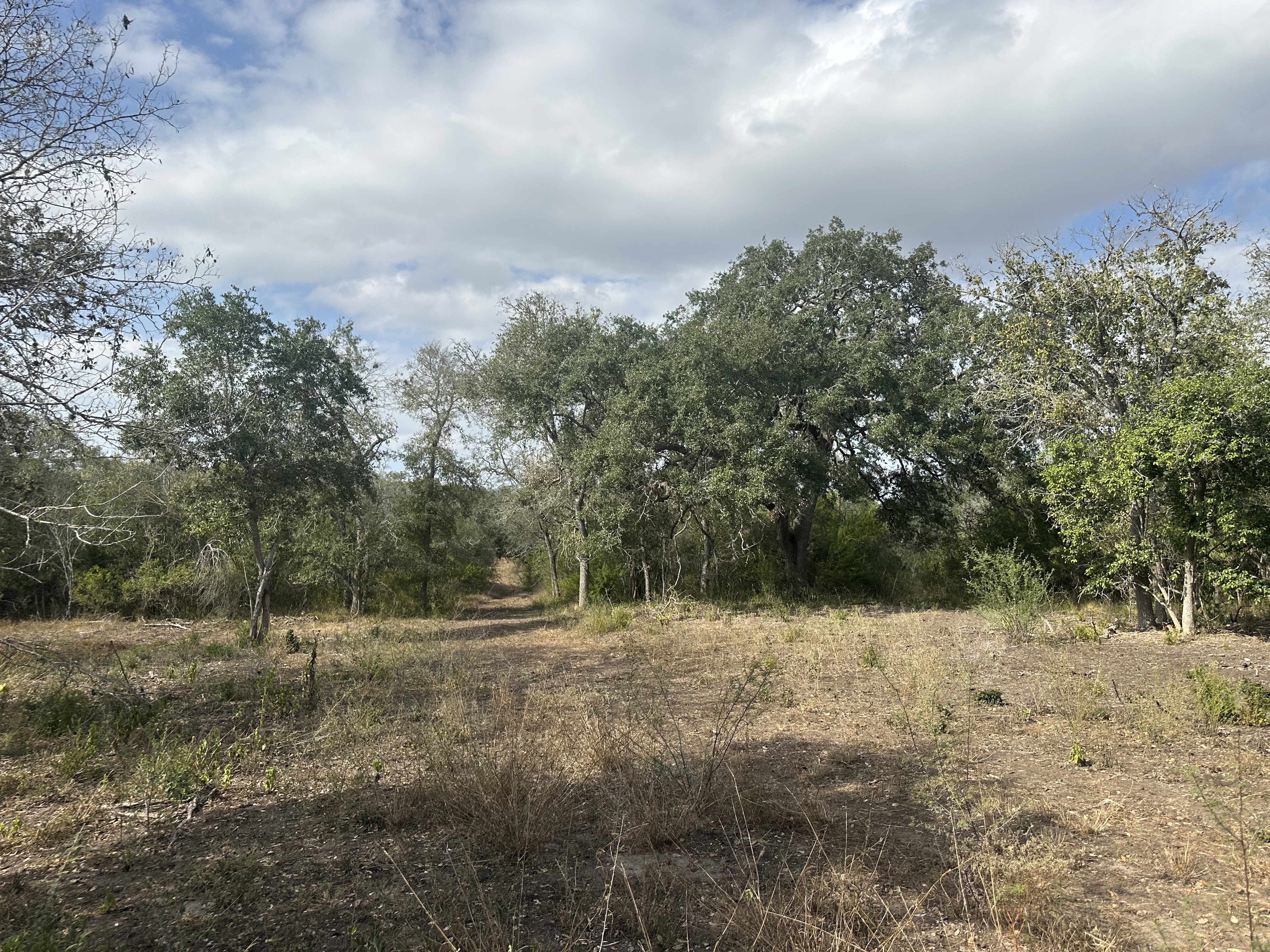 1776 FM 1351, Goliad, Texas 77963, ,Land,For Sale,1071