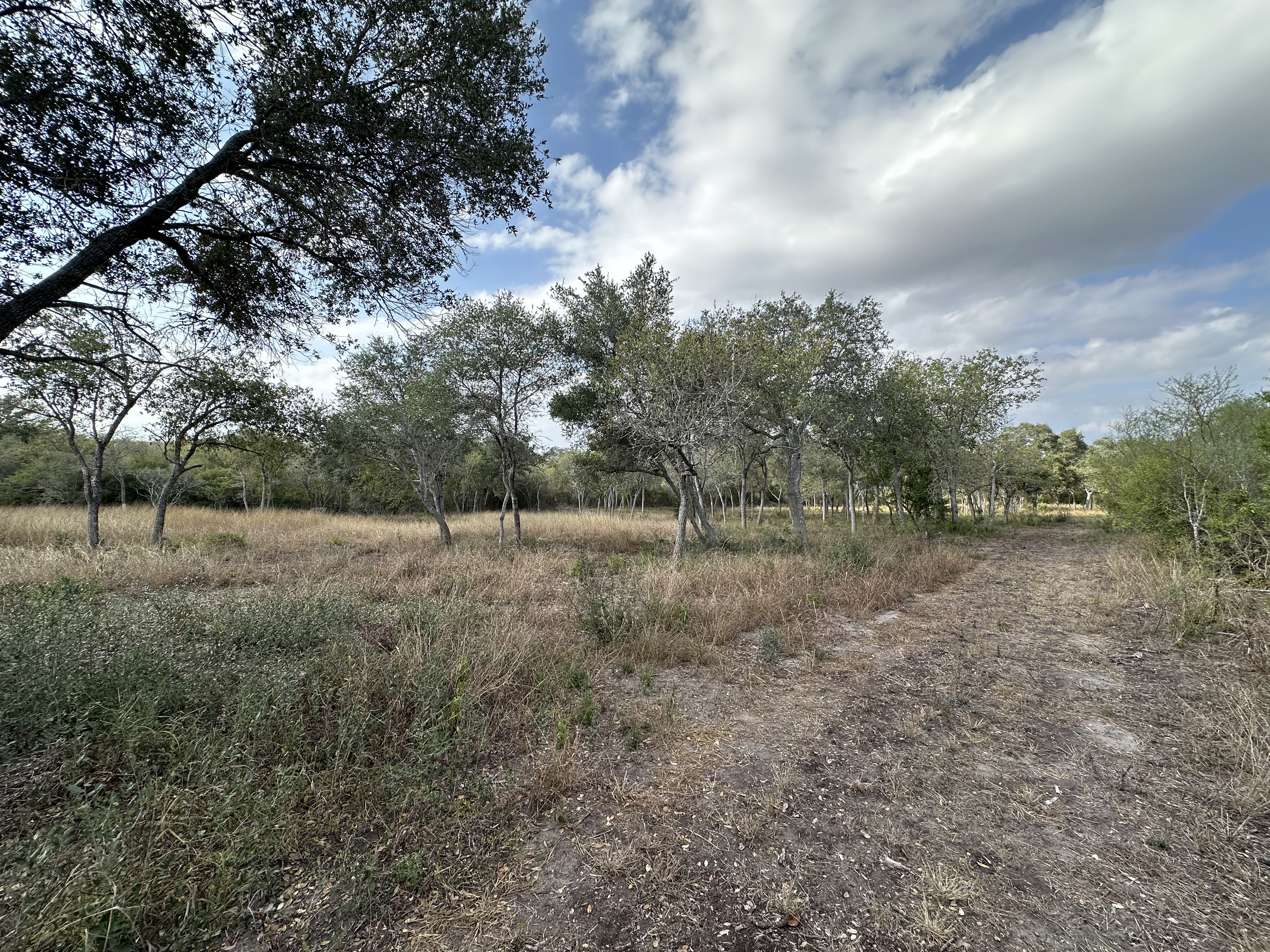 1776 FM 1351, Goliad, Texas 77963, ,Land,For Sale,1071