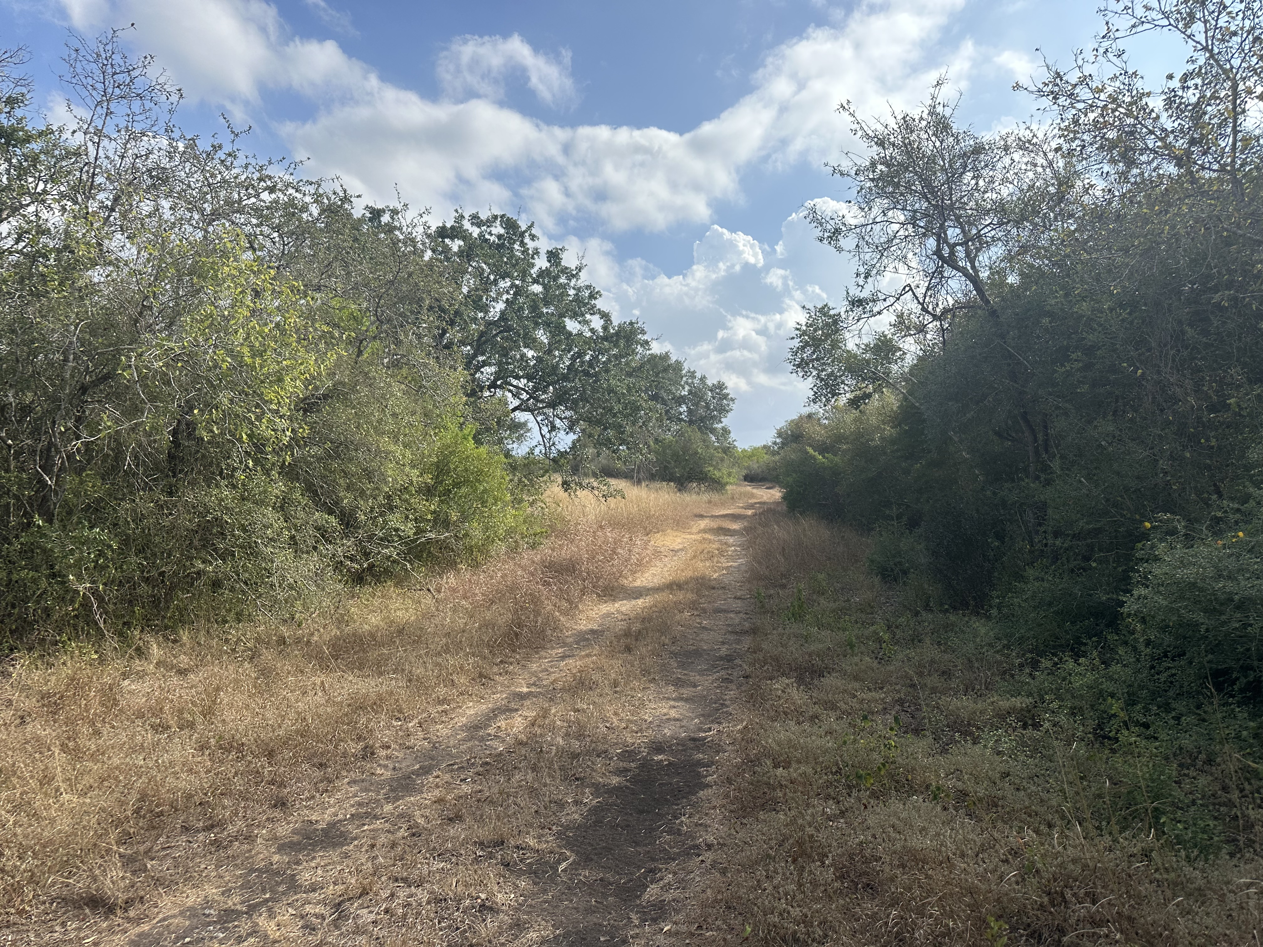 1776 FM 1351, Goliad, Texas 77963, ,Land,For Sale,1071