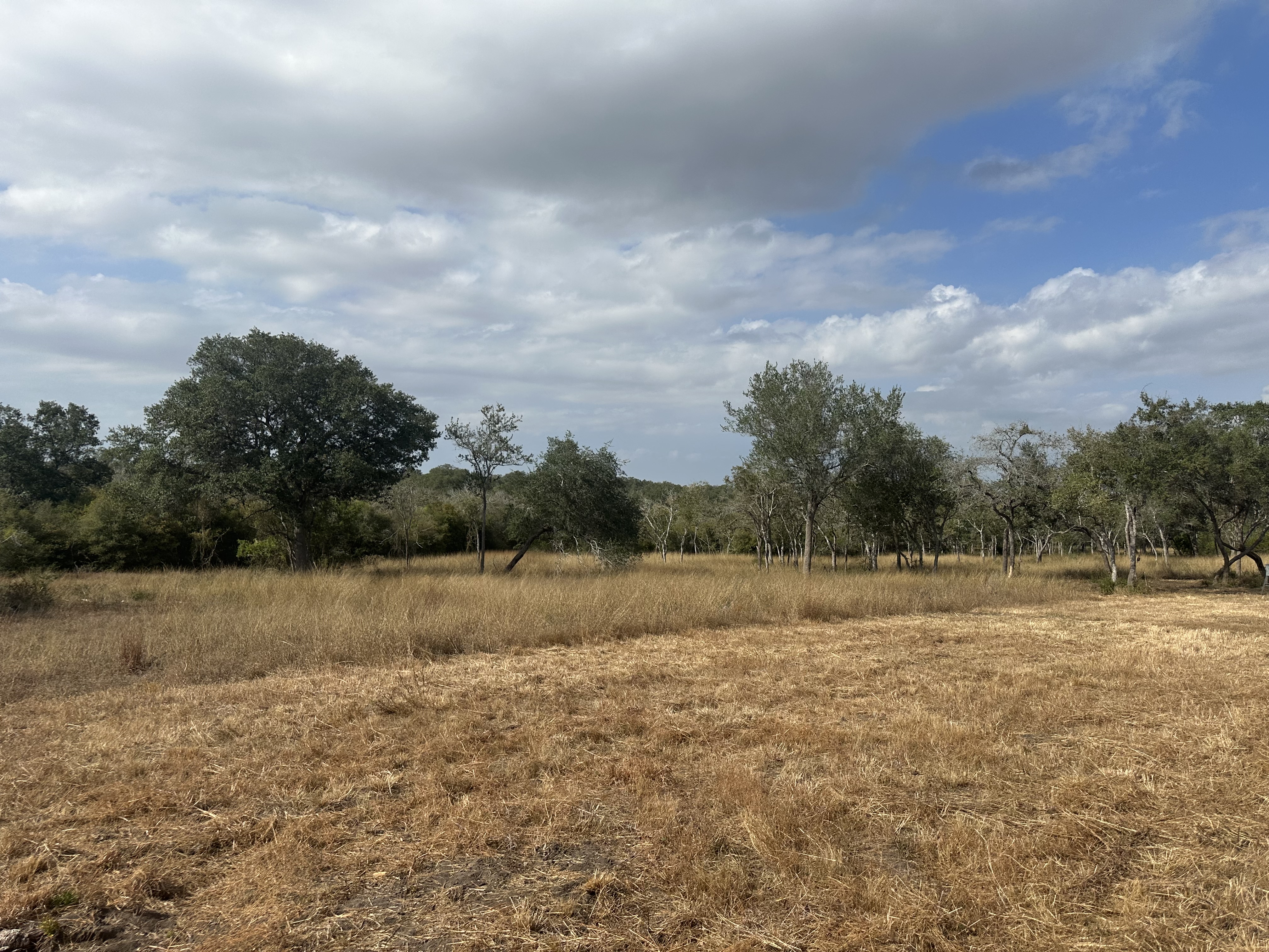 1776 FM 1351, Goliad, Texas 77963, ,Land,For Sale,1071