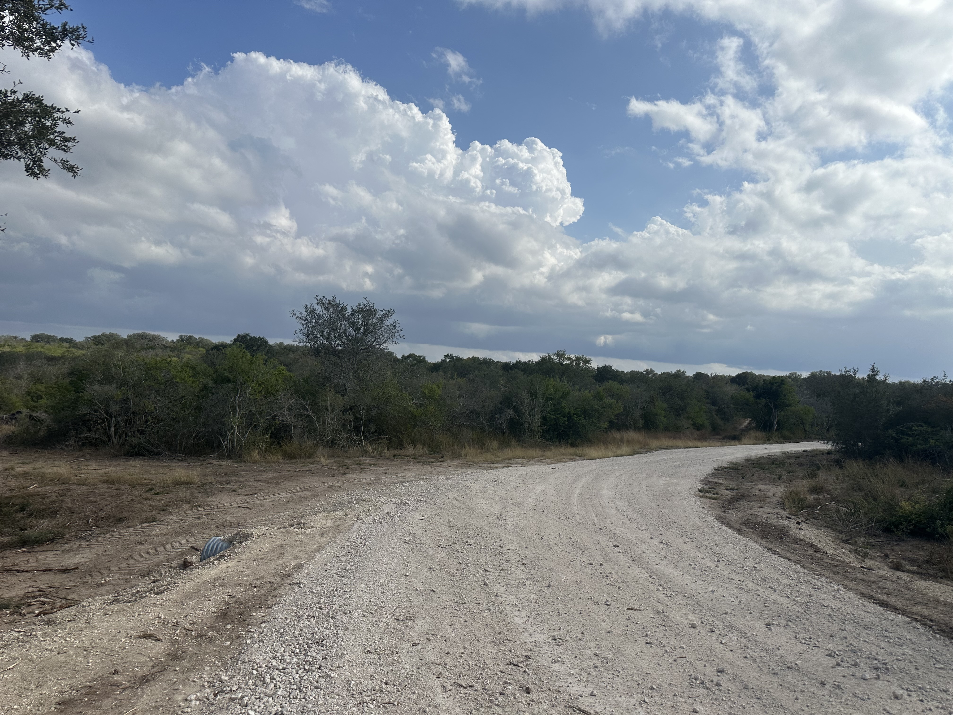 1776 FM 1351, Goliad, Texas 77963, ,Land,For Sale,1071
