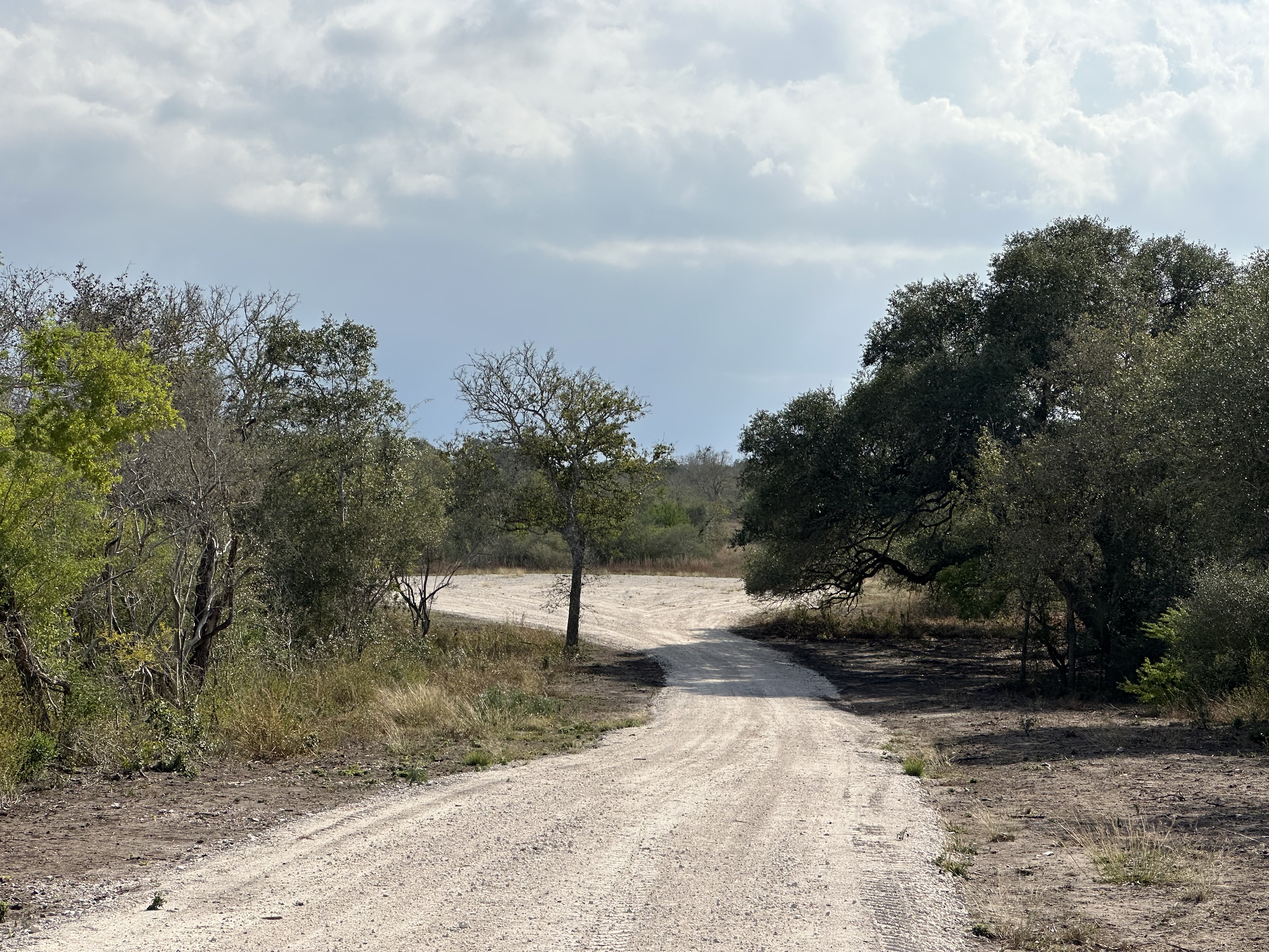 1776 FM 1351, Goliad, Texas 77963, ,Land,For Sale,1071