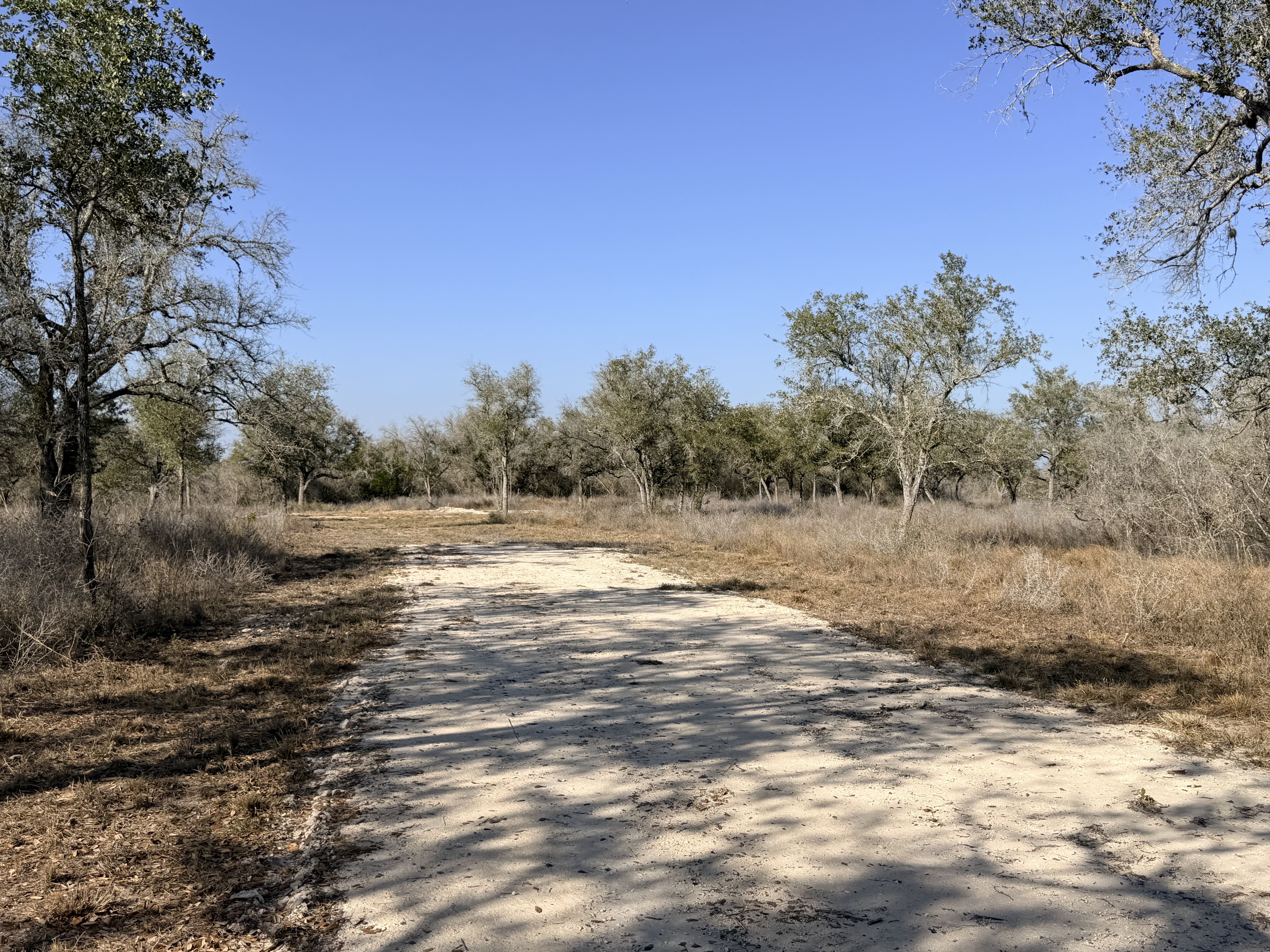 1776 FM 1351, Goliad, Texas 77963, ,Land,For Sale,1071