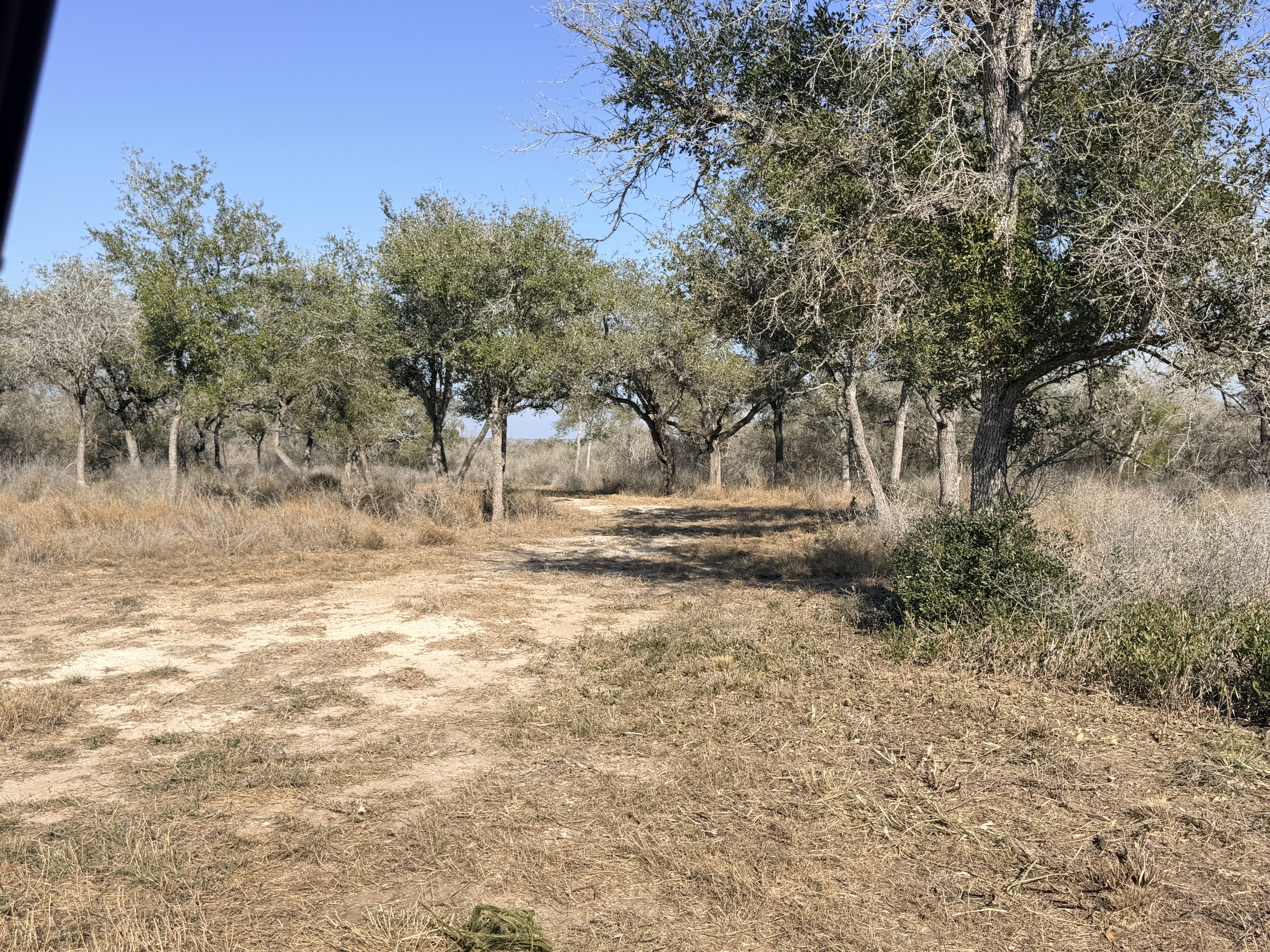 1776 FM 1351, Goliad, Texas 77963, ,Land,For Sale,1071