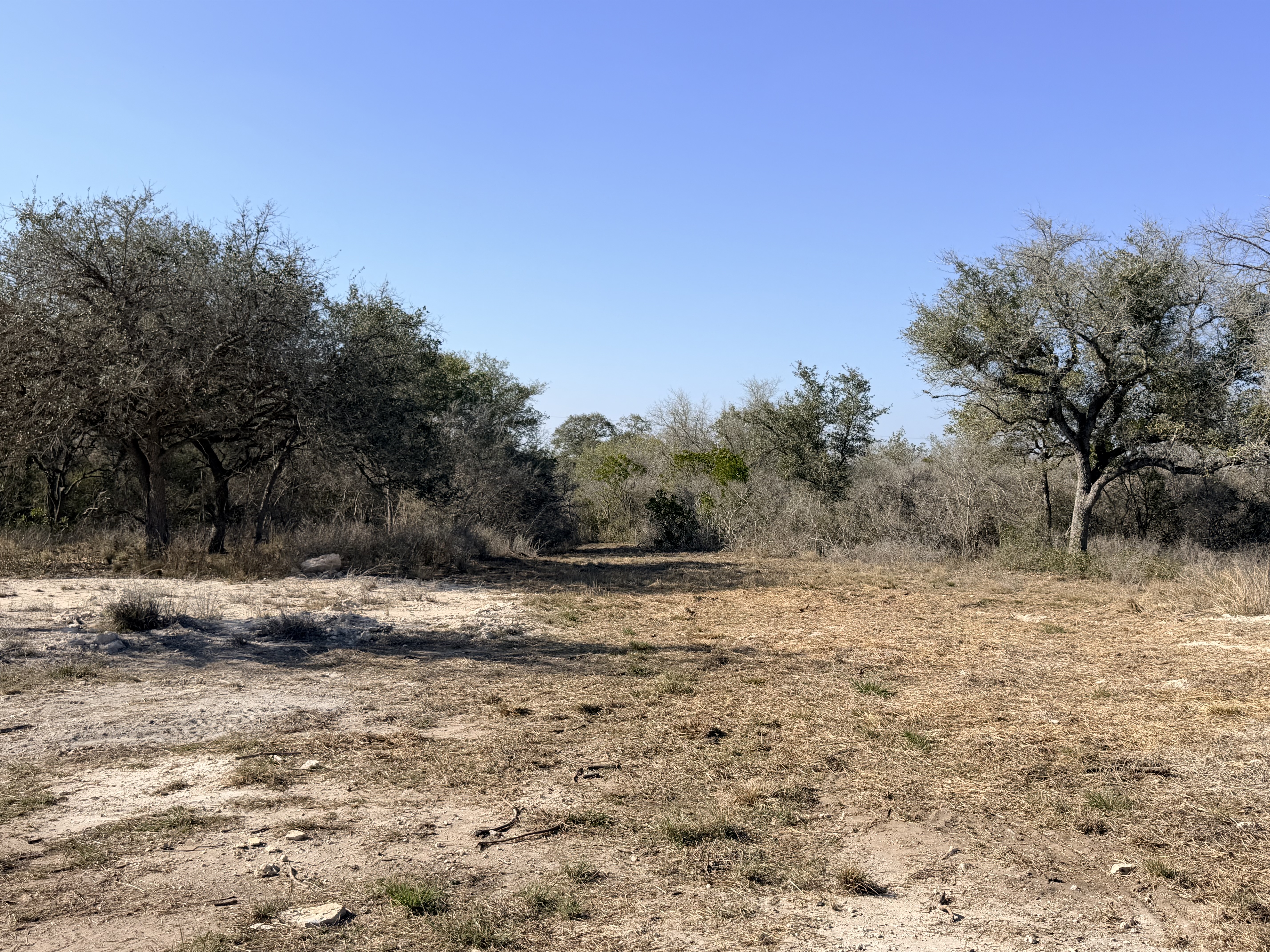 1776 FM 1351, Goliad, Texas 77963, ,Land,For Sale,1071
