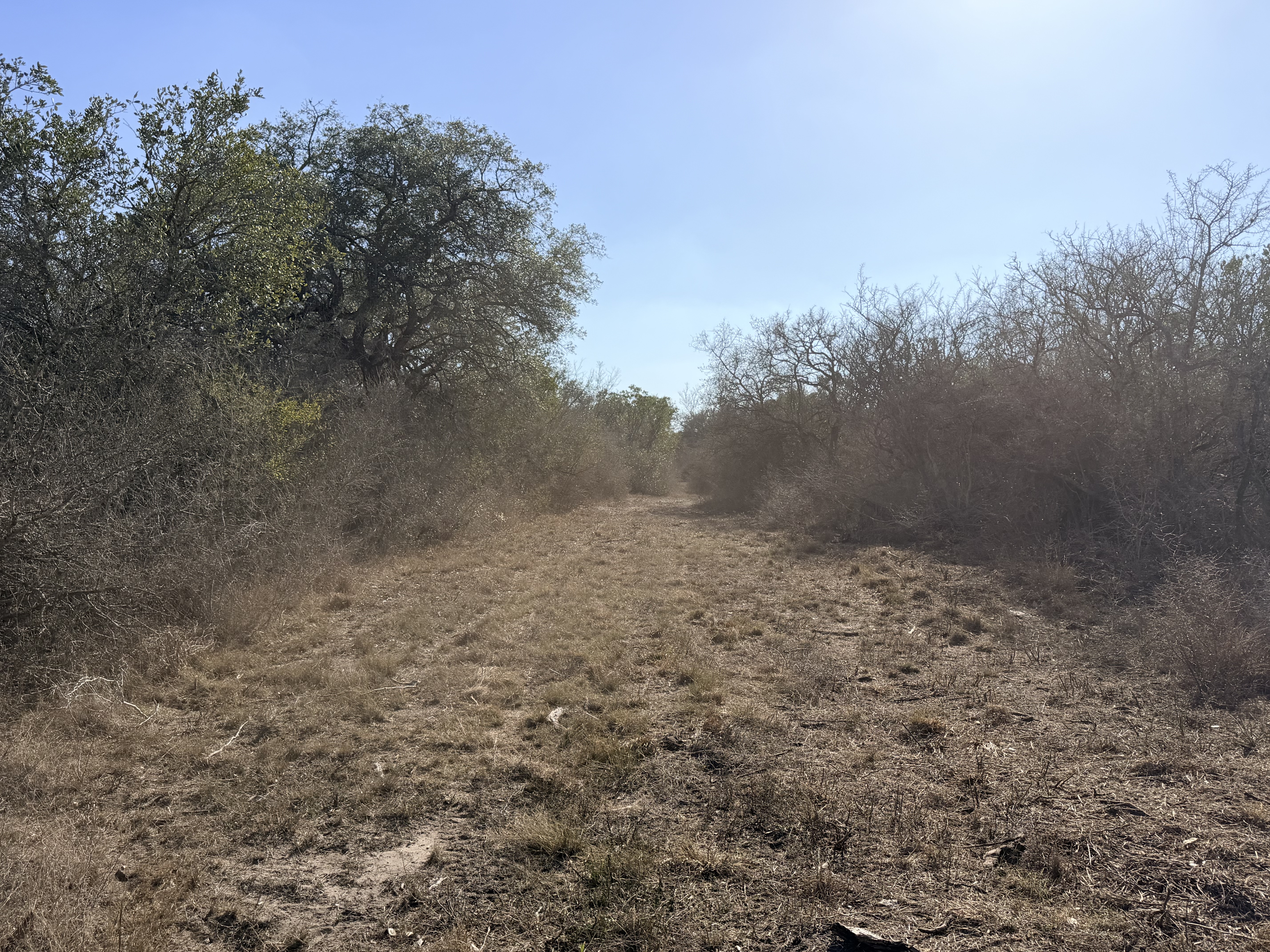 1776 FM 1351, Goliad, Texas 77963, ,Land,For Sale,1071