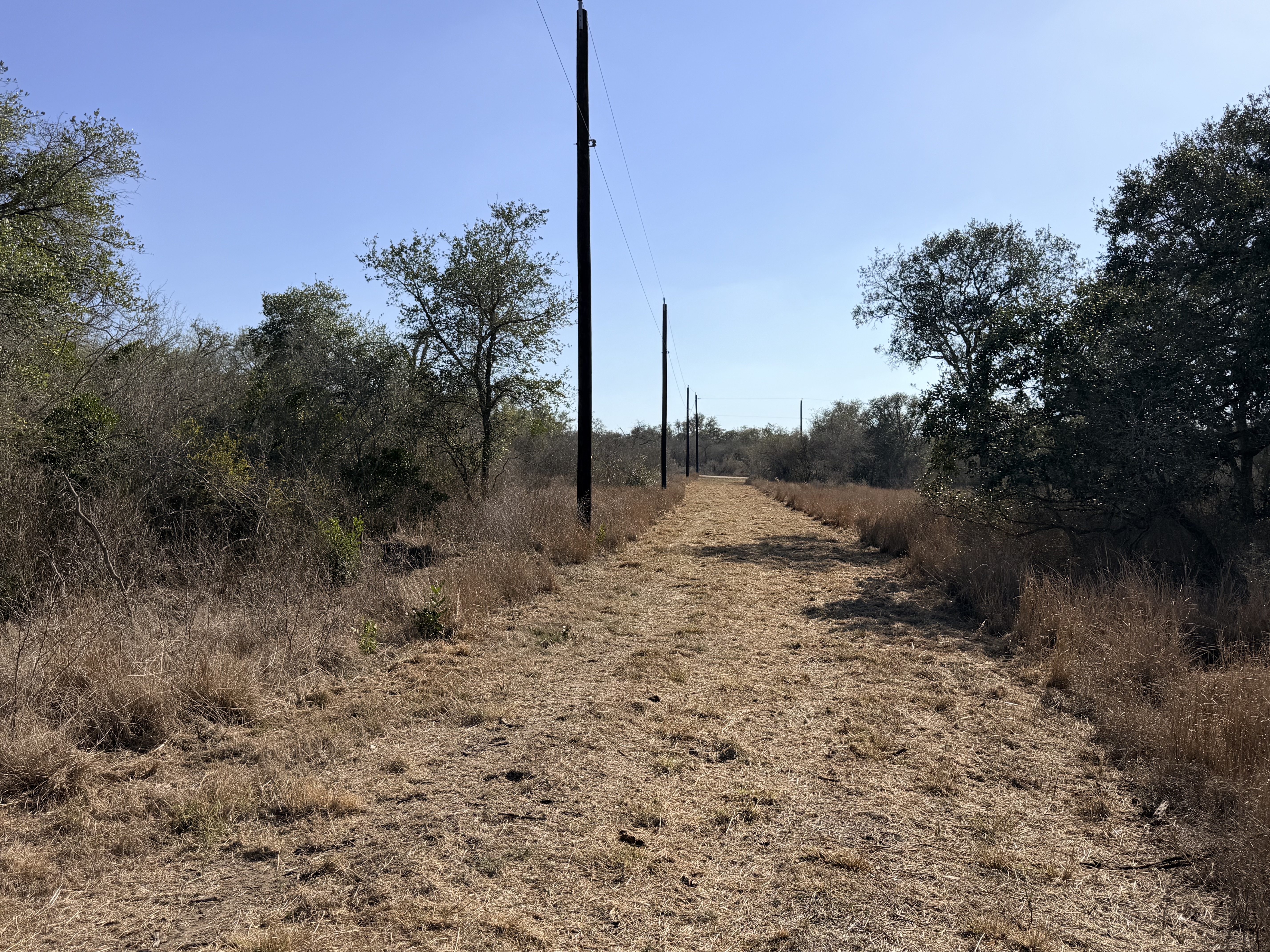 1776 FM 1351, Goliad, Texas 77963, ,Land,For Sale,1071