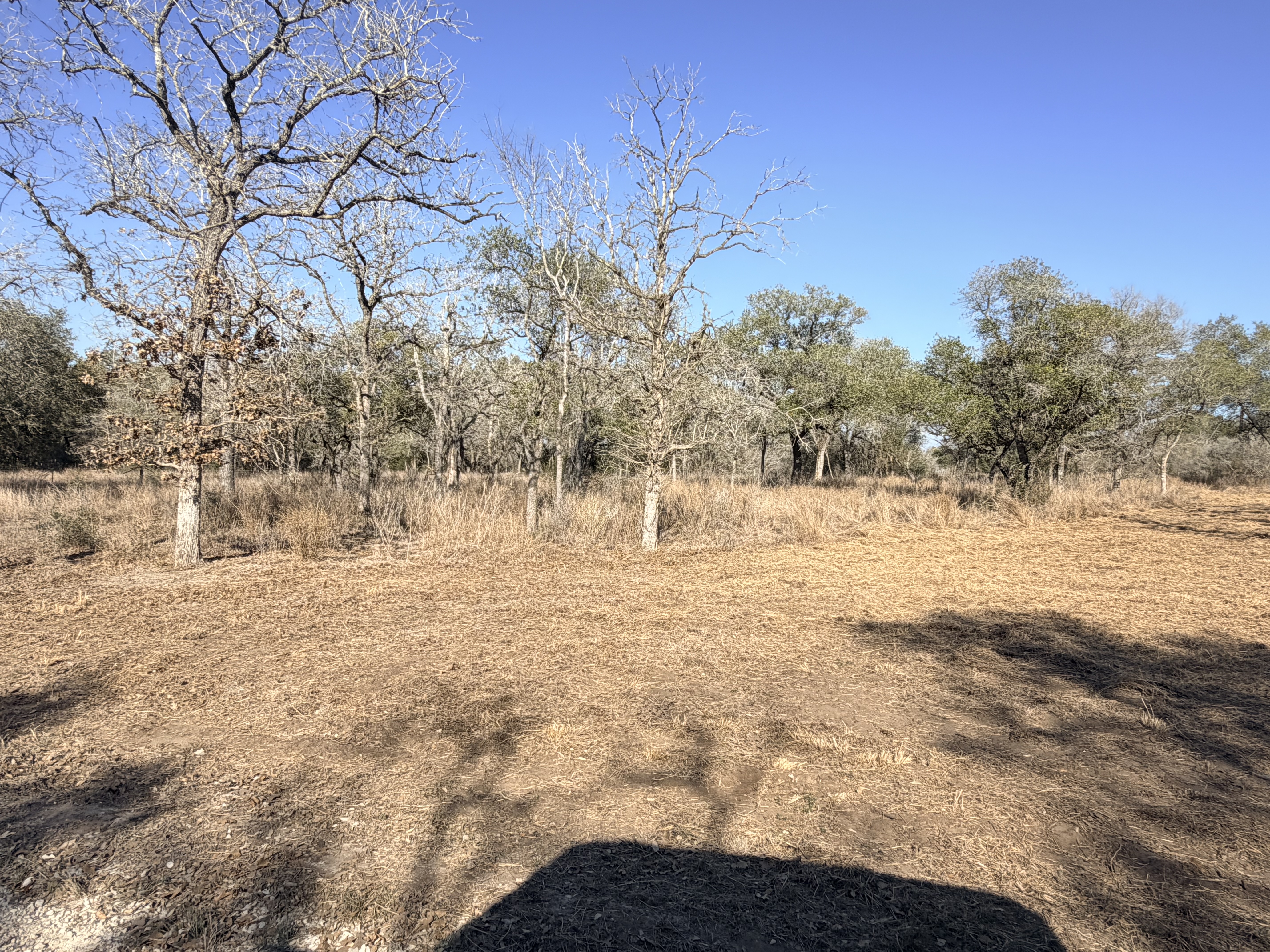 1776 FM 1351, Goliad, Texas 77963, ,Land,For Sale,1071