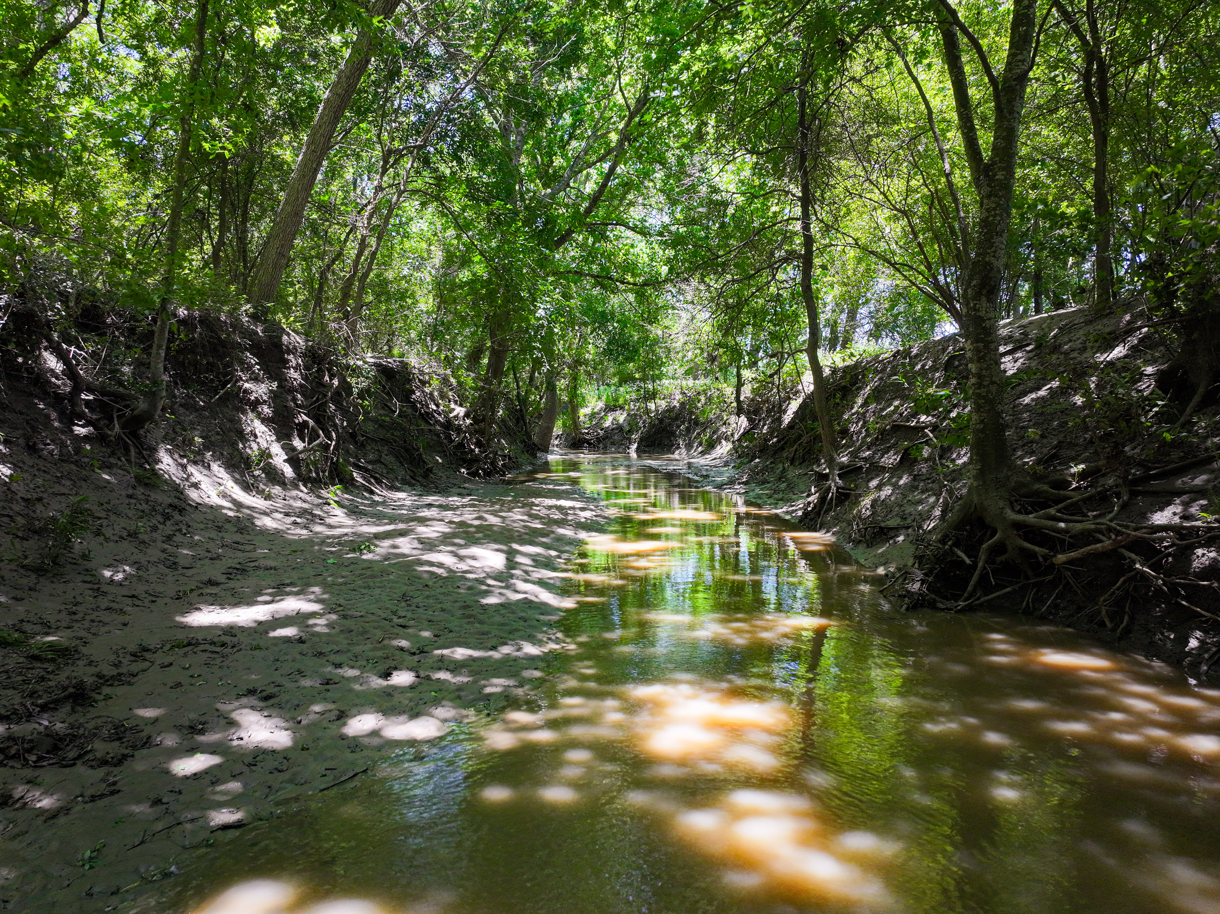 land for sale
land for purchase
caldwell county
lockhart, tx
luling, tx
bastrop, tx