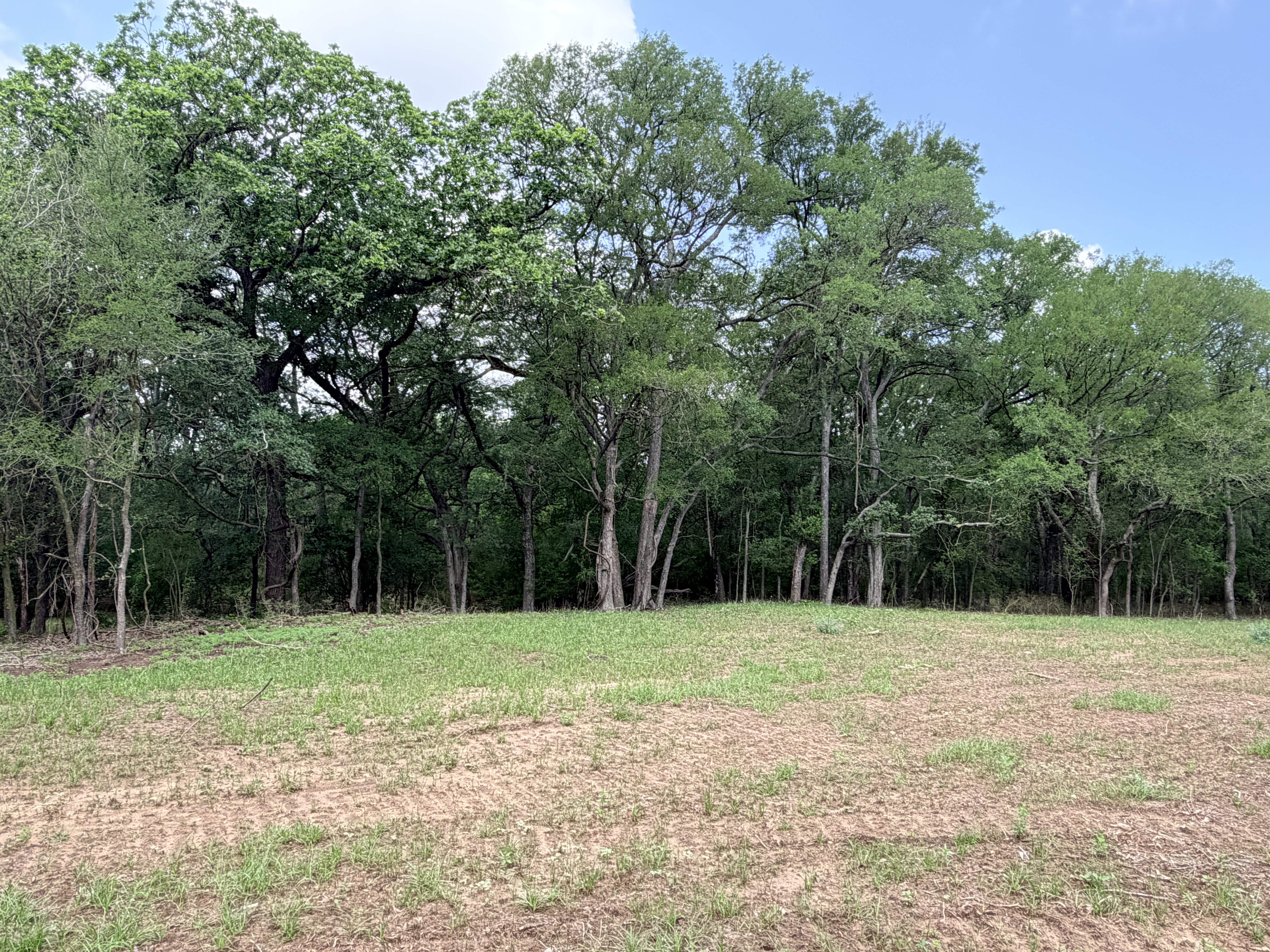 land for sale
land for purchase
caldwell county
lockhart, tx
luling, tx
bastrop, tx