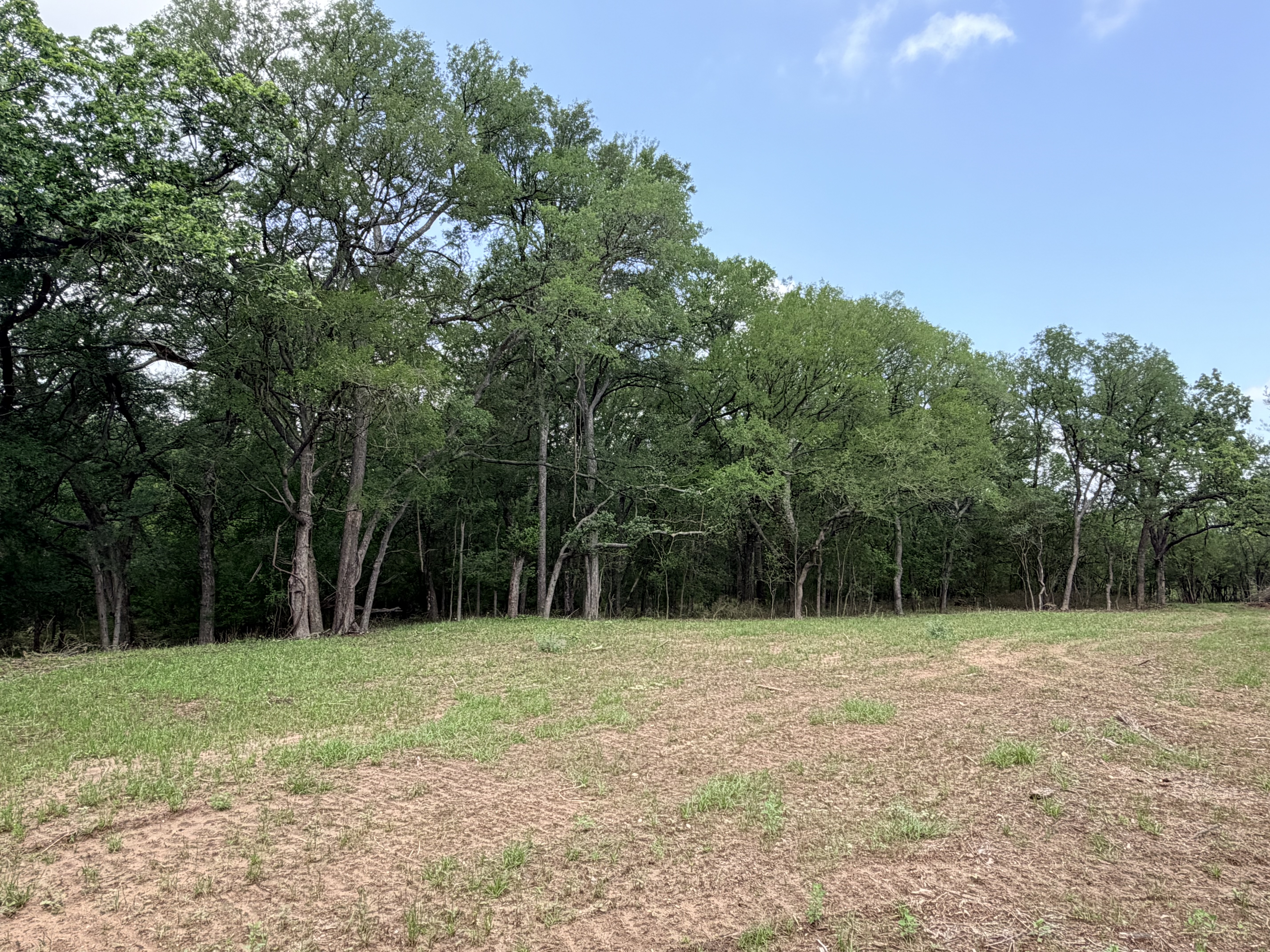 land for sale
land for purchase
caldwell county
lockhart, tx
luling, tx
bastrop, tx