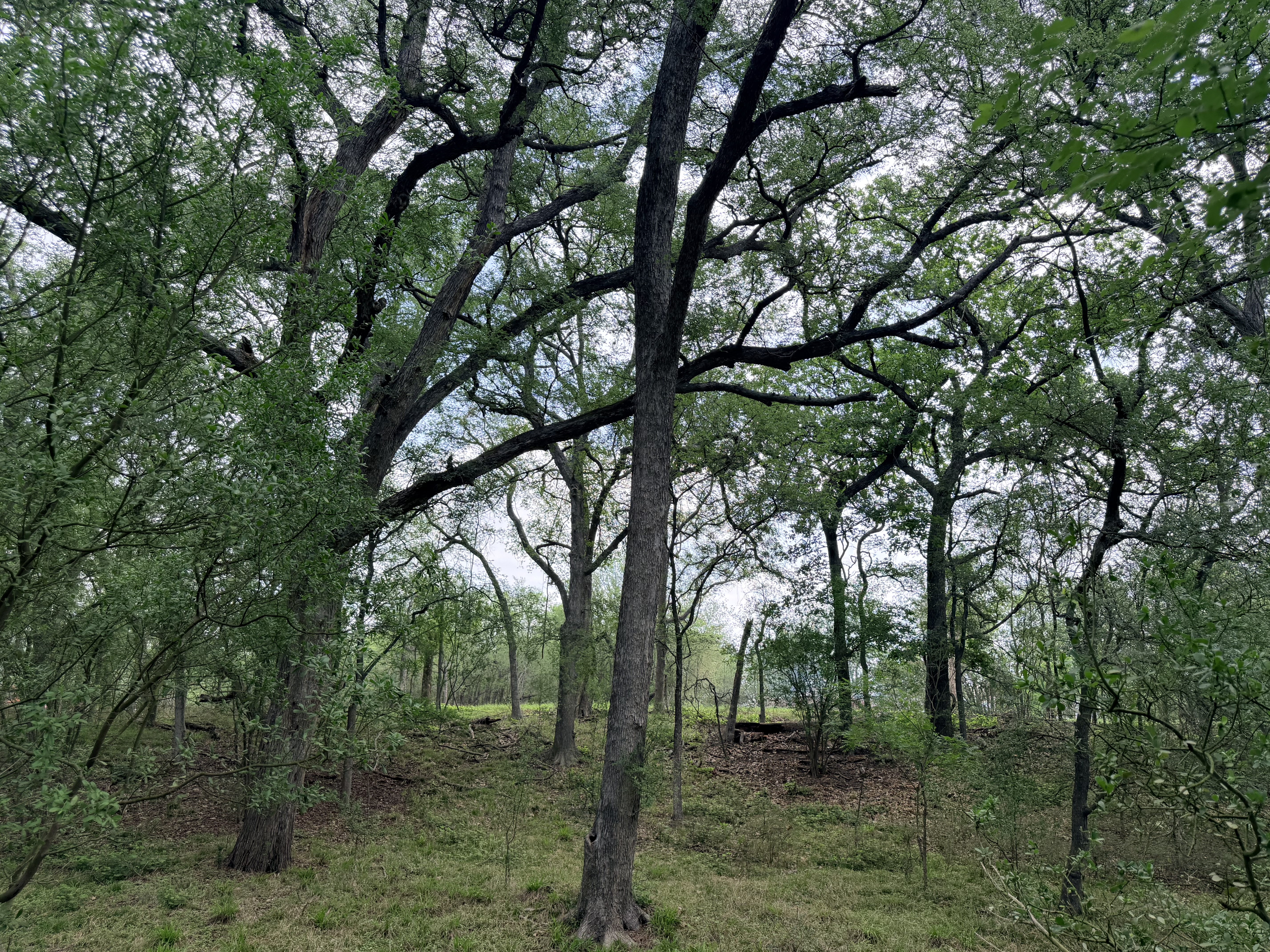 land for sale
land for purchase
caldwell county
lockhart, tx
luling, tx
bastrop, tx