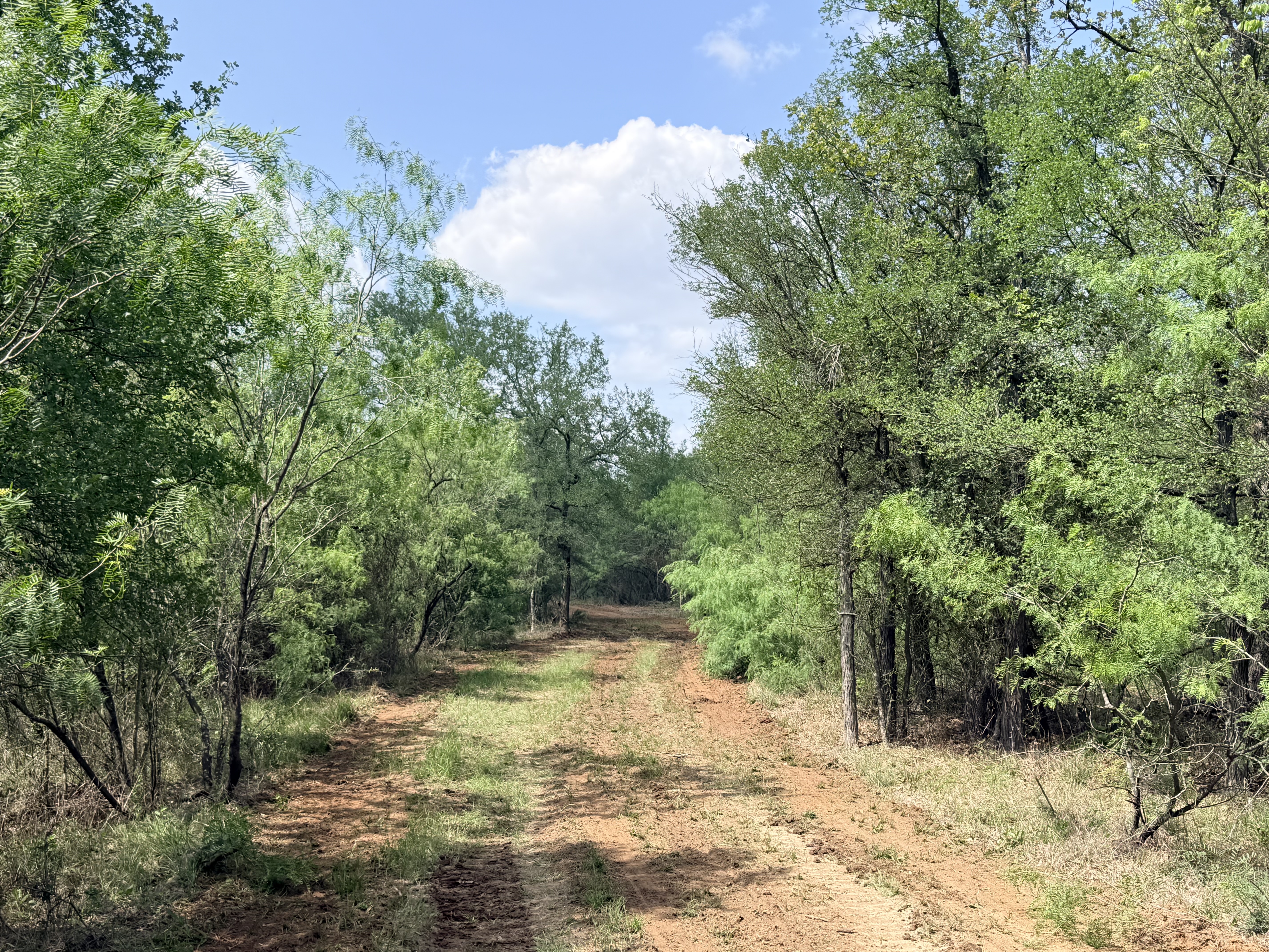land for sale
land for purchase
caldwell county
lockhart, tx
luling, tx
bastrop, tx