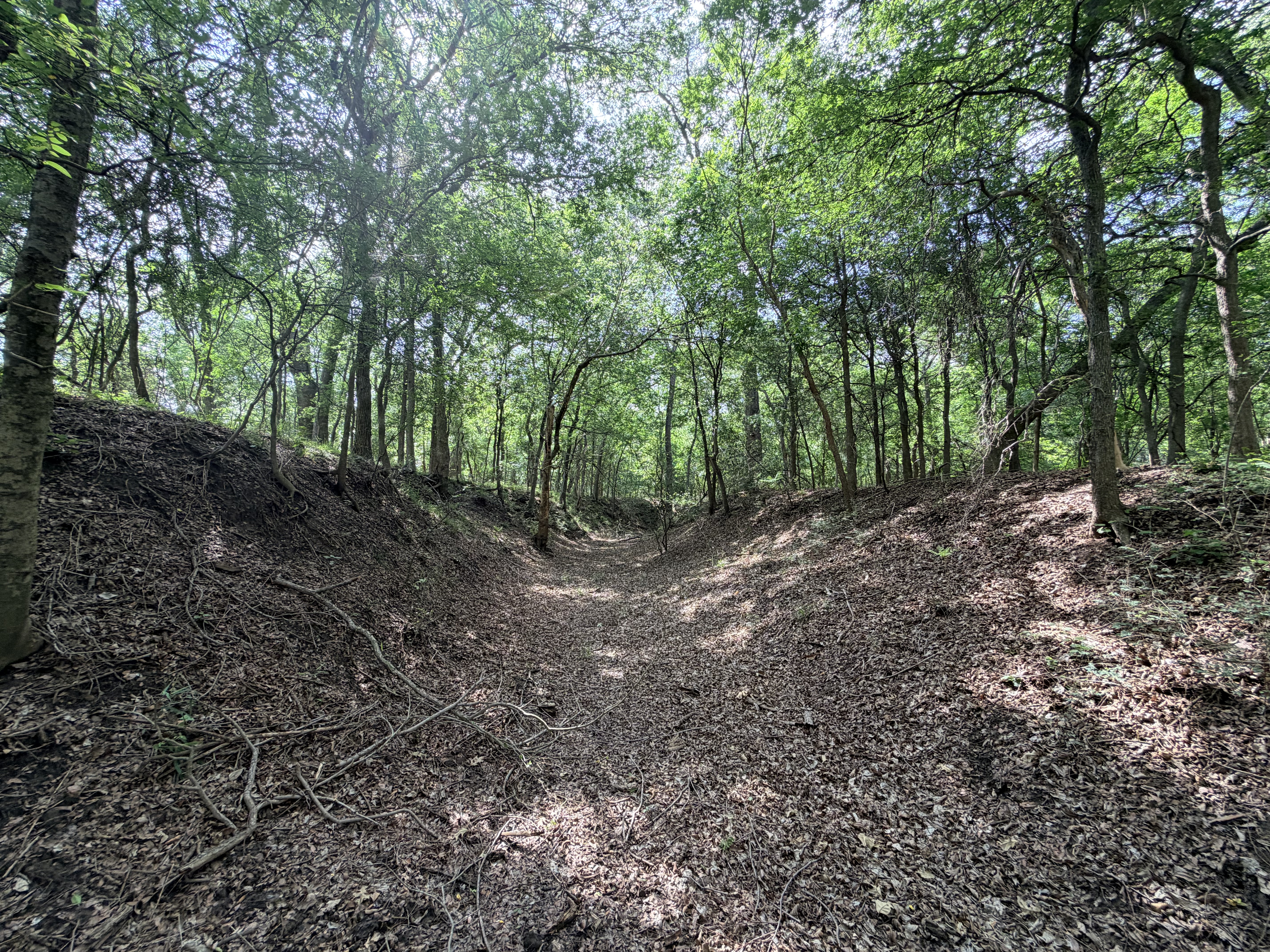 land for sale
land for purchase
caldwell county
lockhart, tx
luling, tx
bastrop, tx