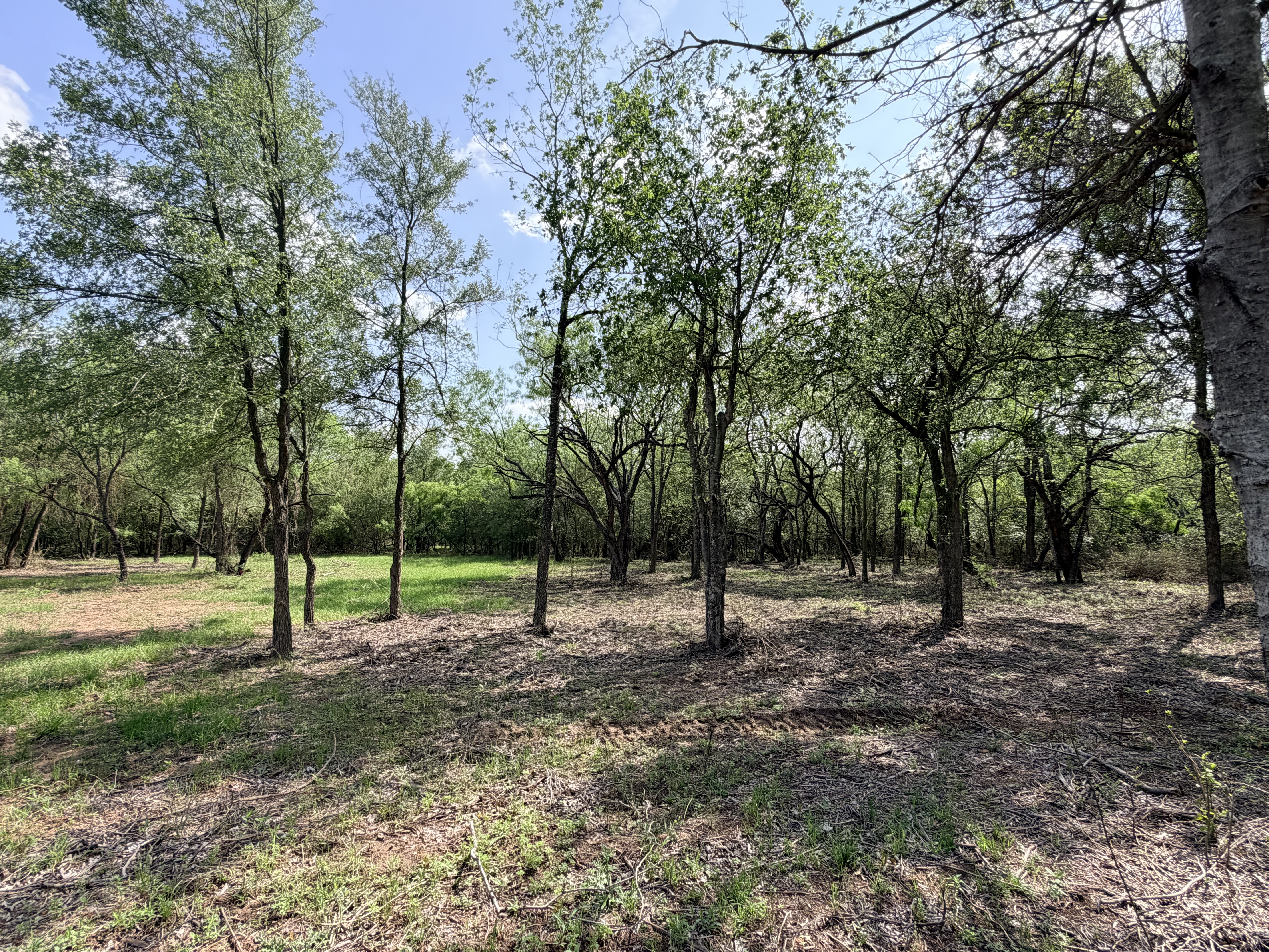 land for sale
land for purchase
caldwell county
lockhart, tx
luling, tx
bastrop, tx