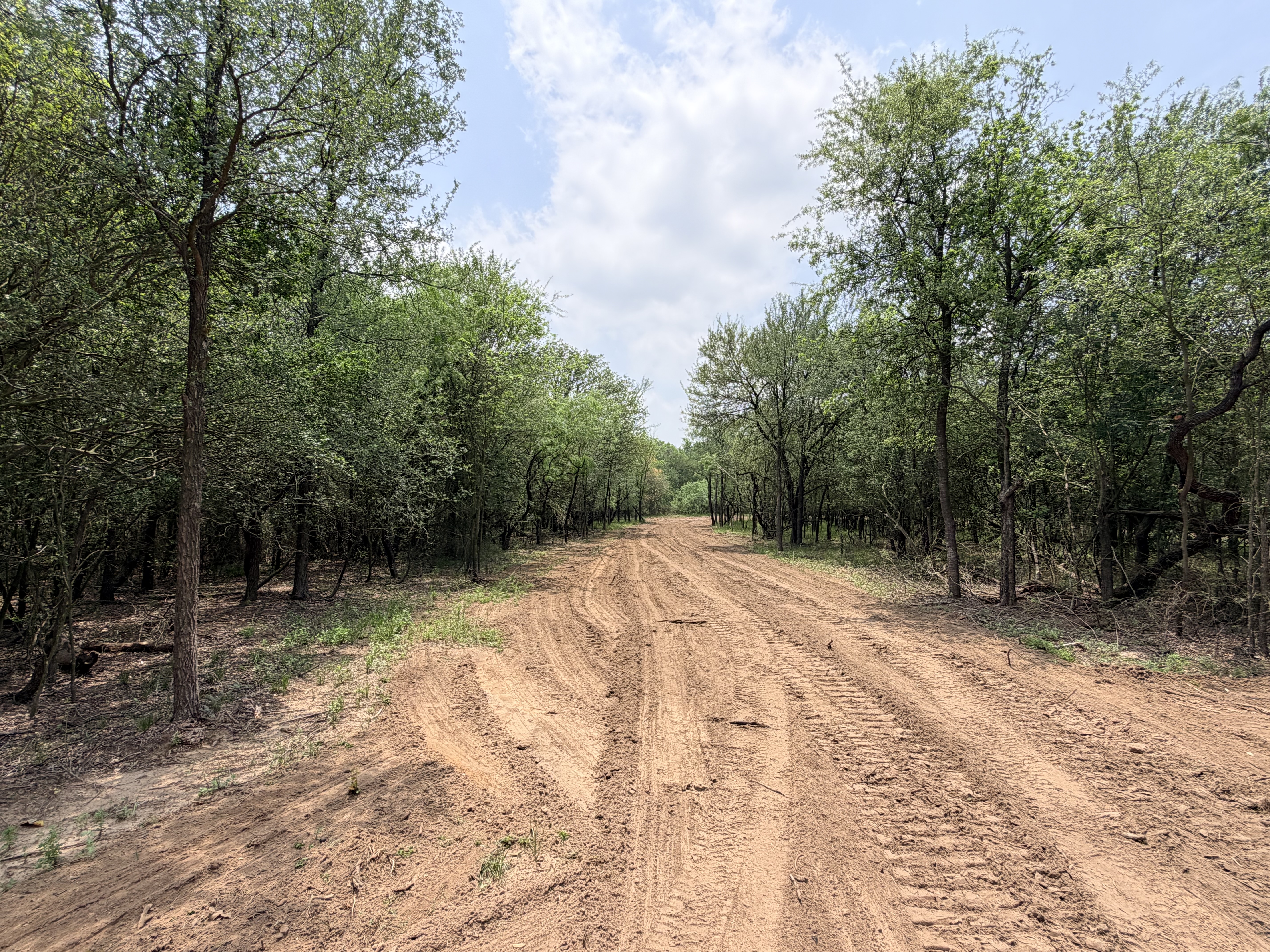 land for sale
land for purchase
caldwell county
lockhart, tx
luling, tx
bastrop, tx