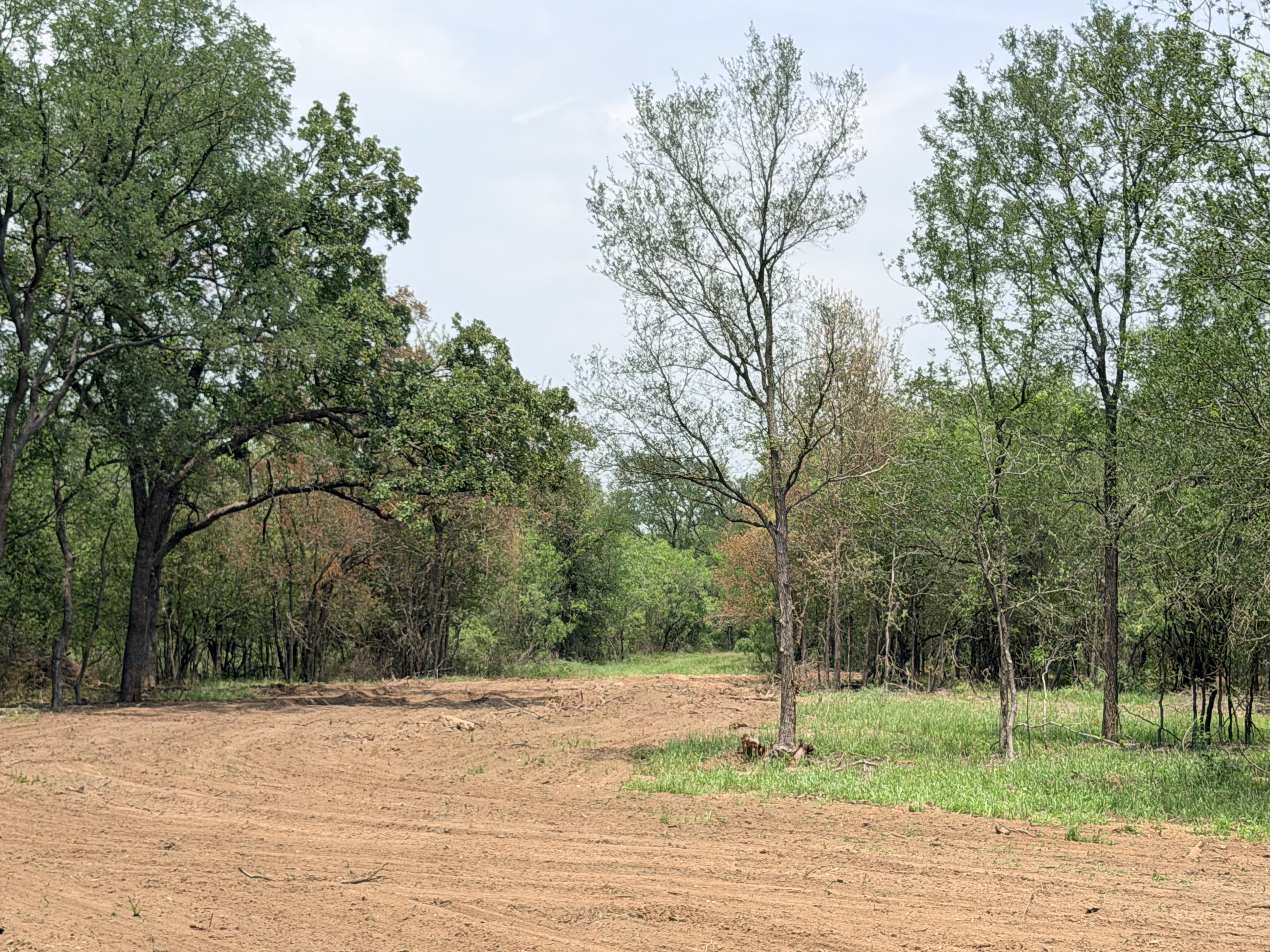 land for sale
land for purchase
caldwell county
lockhart, tx
luling, tx
bastrop, tx