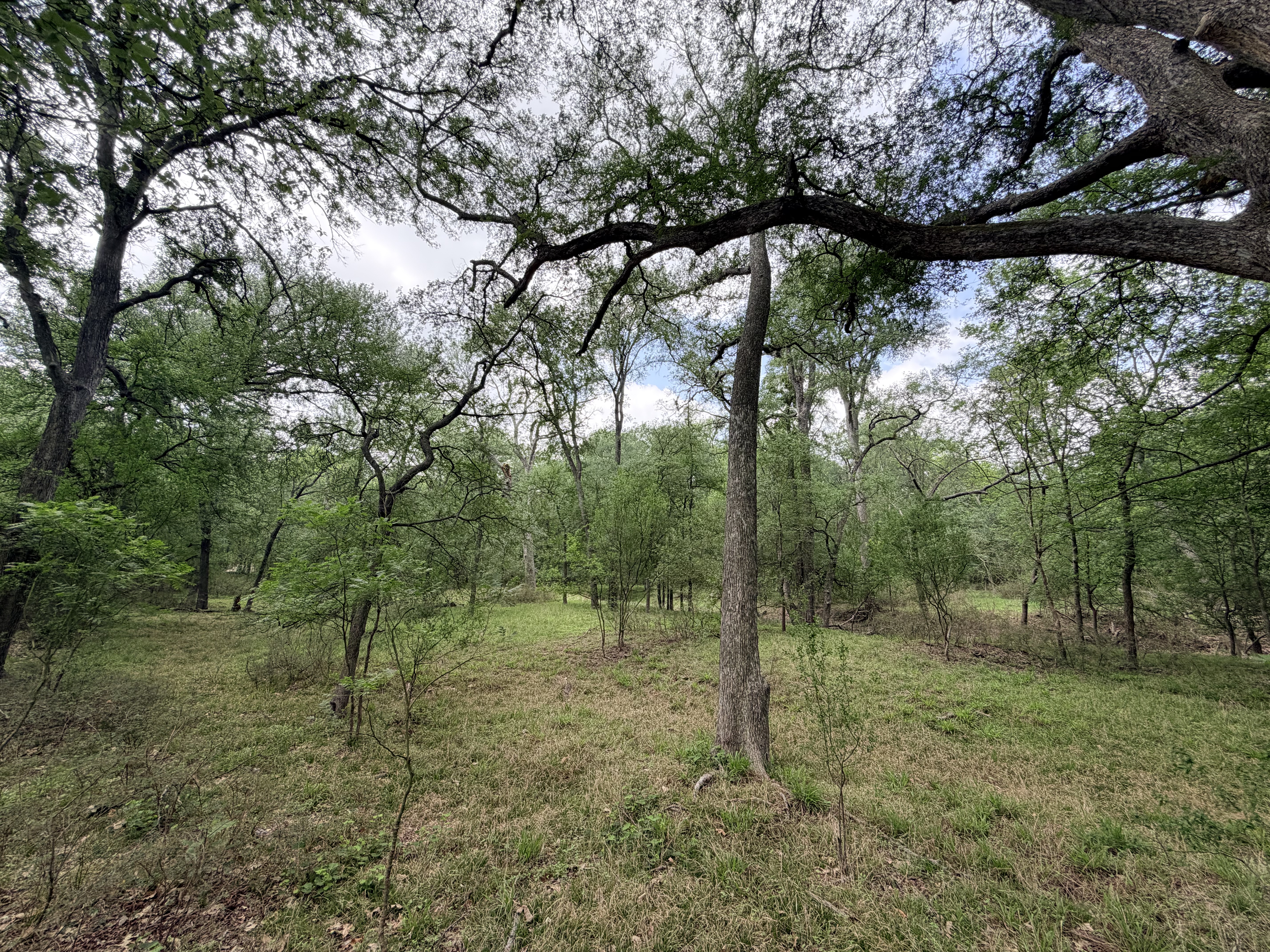 land for sale
land for purchase
Caldwell County
Lockhart, TX
Luling, TX