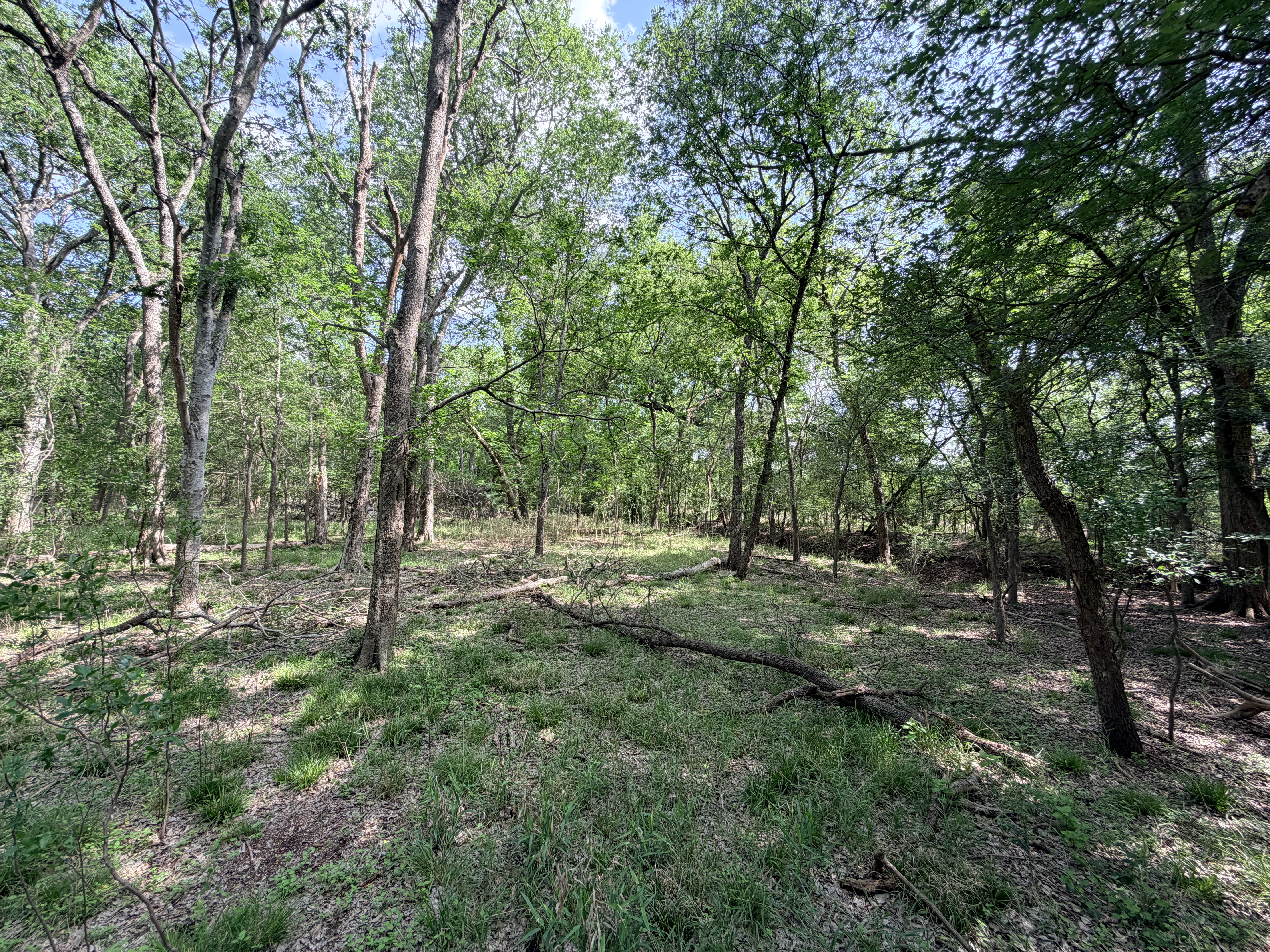 land for sale
land for purchase
Caldwell County
Lockhart, TX
Luling, TX