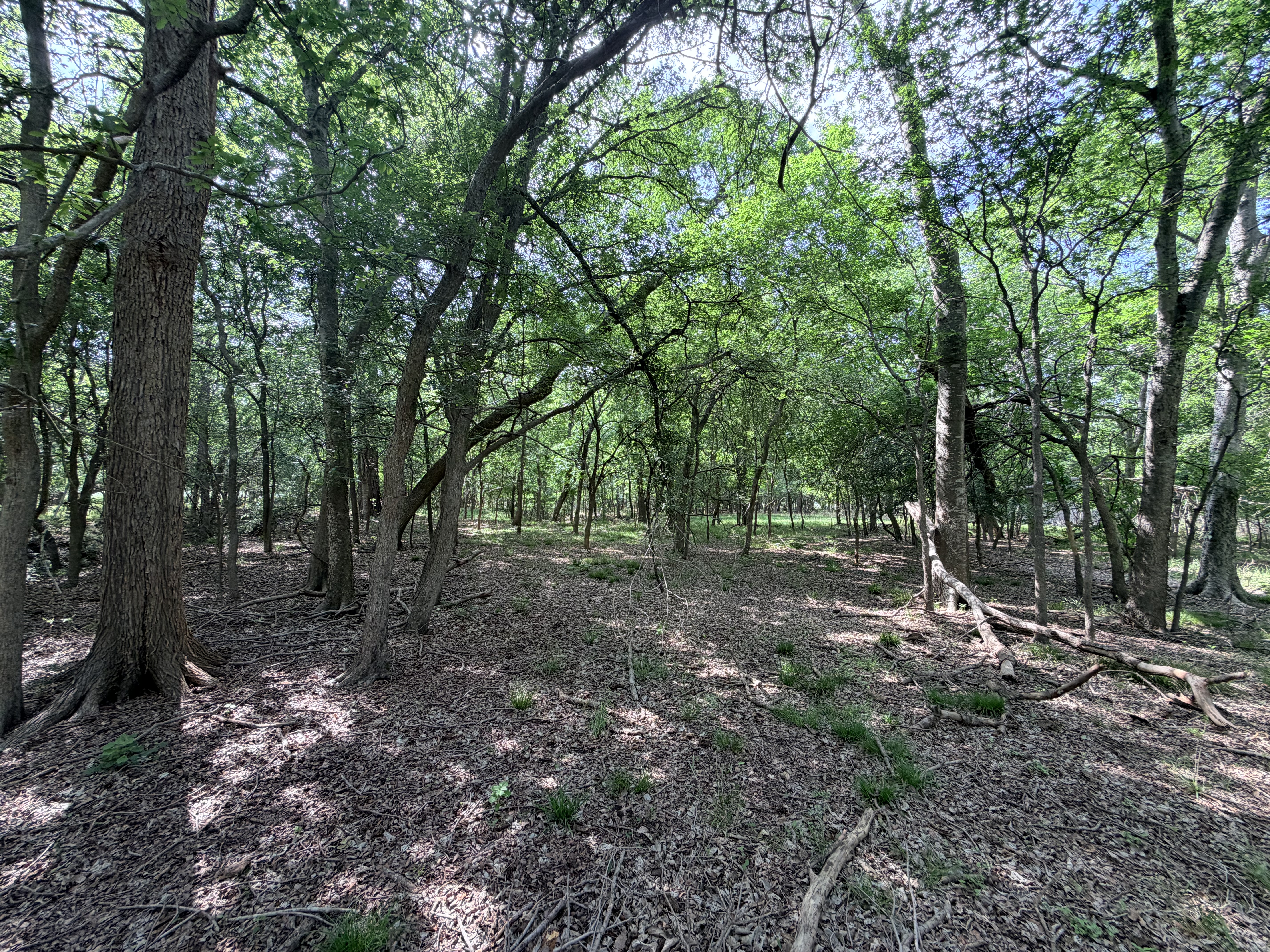land for sale
land for purchase
Caldwell County
Lockhart, TX
Luling, TX