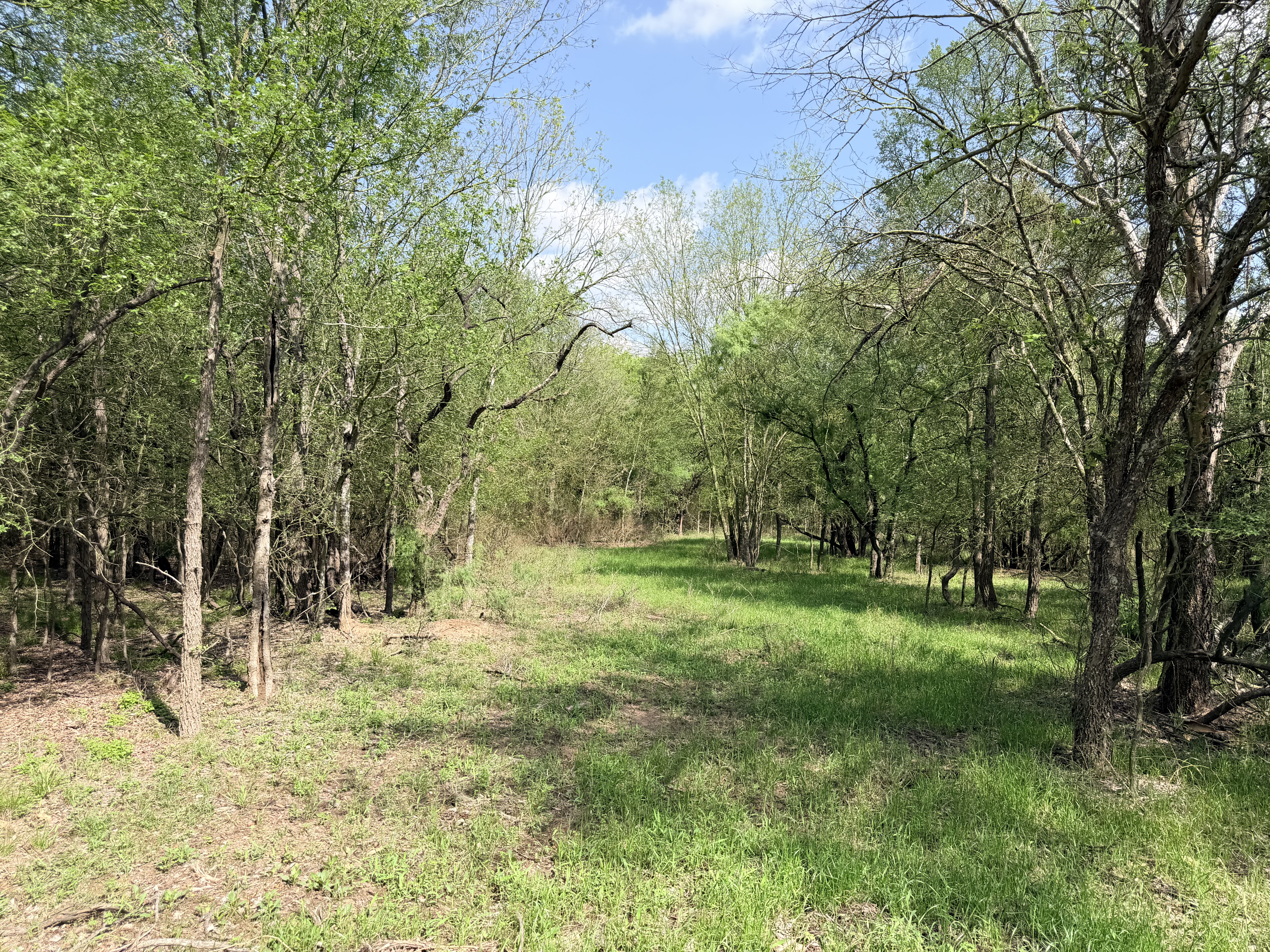 land purchase
land for sale
Caldwell County
Lockhart, TX
Luling, TX