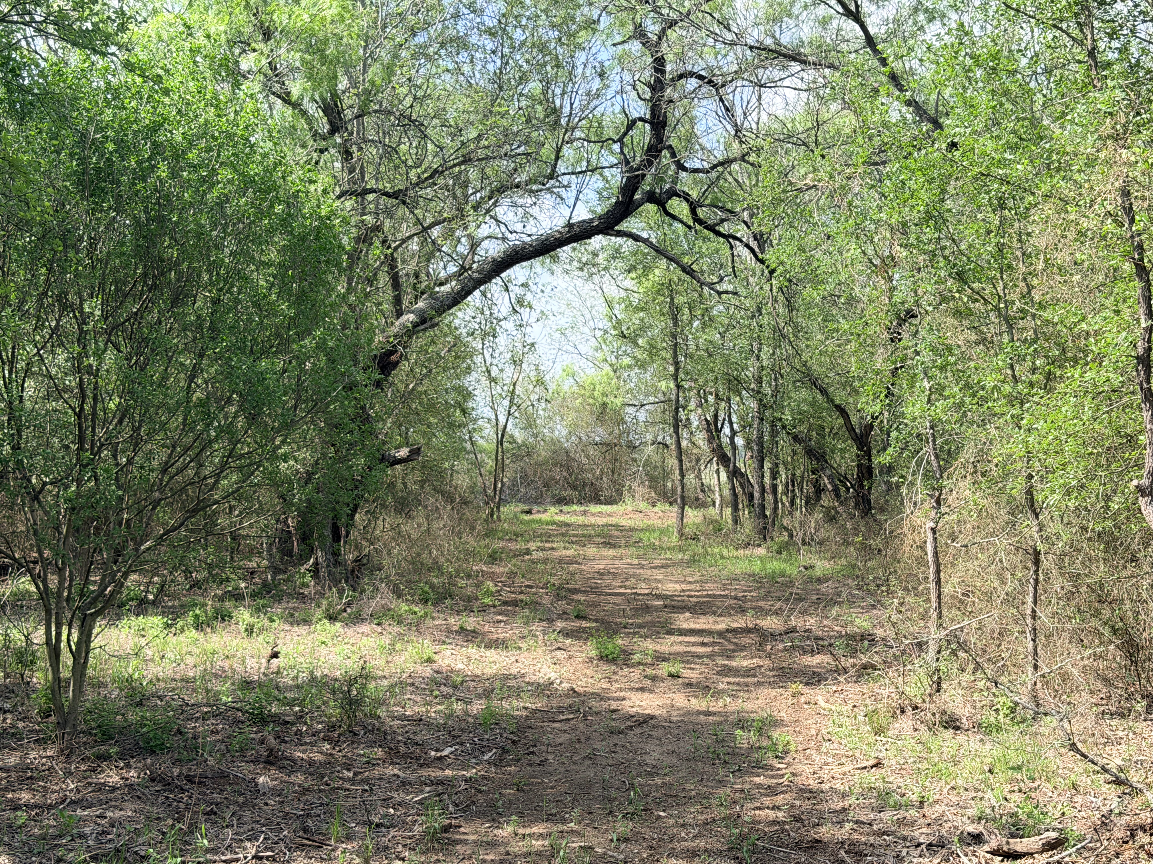 land purchase
land for sale
Caldwell County
Lockhart, TX
Luling, TX