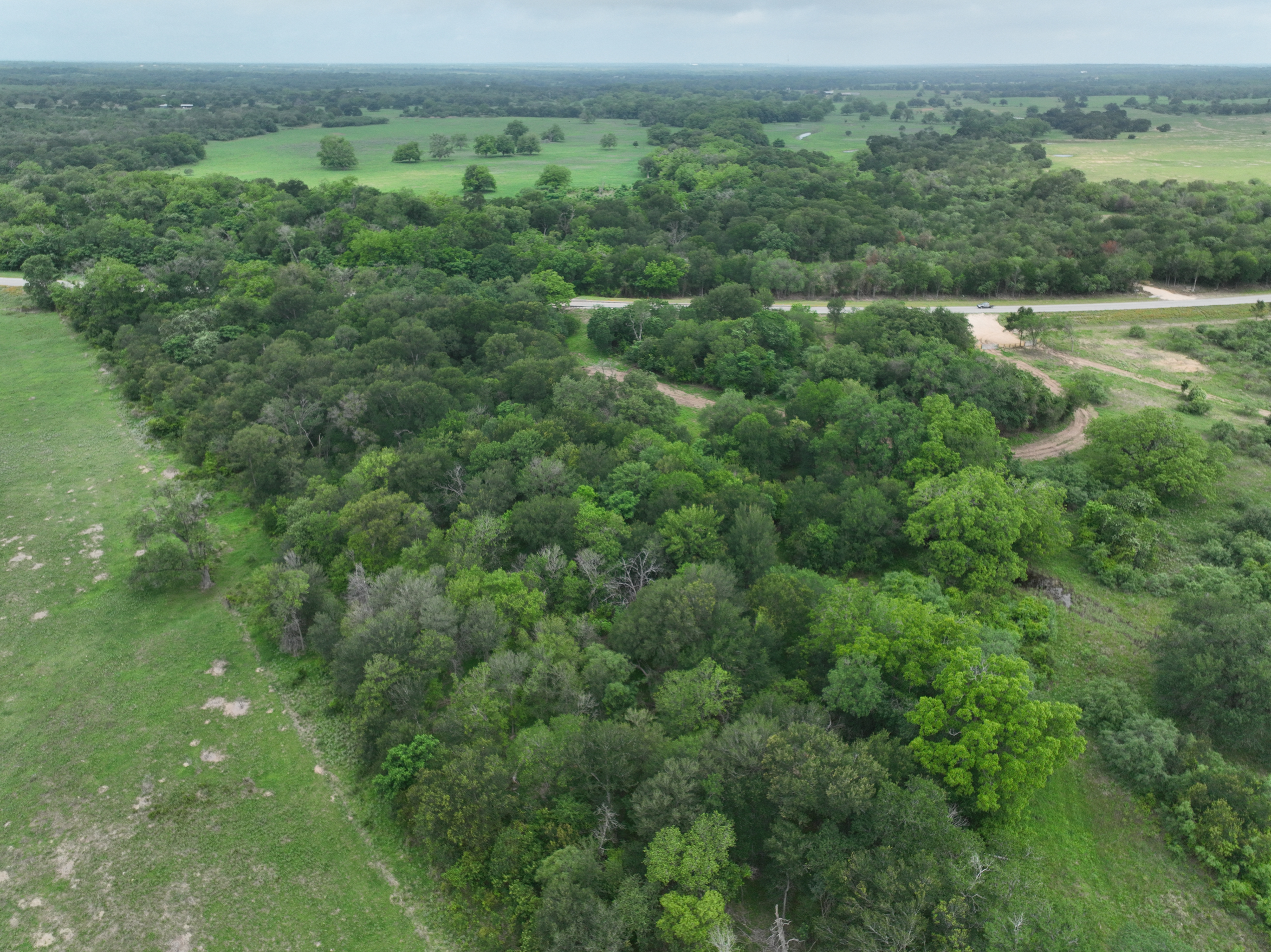 Discover a stunning piece of Central Texas landscape located in Luling, TX. This property offers over 12 acres of land, providing the perfect blend of country living and convenience. Enjoy the serene environment, just minutes from town, while experiencing true rural tranquility. The land boasts enormous shade trees and beautiful creek bottom terrain. Its gentle, sloping topography offers pristine views of the surrounding countryside, making it an ideal spot for those seeking scenic vistas. West Plum Creek runs along the backside of the property, adding to its natural appeal. The property features FM highway frontage, ensuring easy access. Several prime building sites are ready for development, with new fencing and electricity already installed. These improvements make the land immediately usable for various purposes. Situated within 5 minutes of Luling and just 10 minutes from Lockhart, this property provides quick access to nearby towns. It is less than an hour from both Austin and San Antonio, and only about 45 minutes from the Austin International Airport and Circuit of the Americas racetrack. 
NO RESTRICTIONS
AG EXEMPT - WILDLIFE