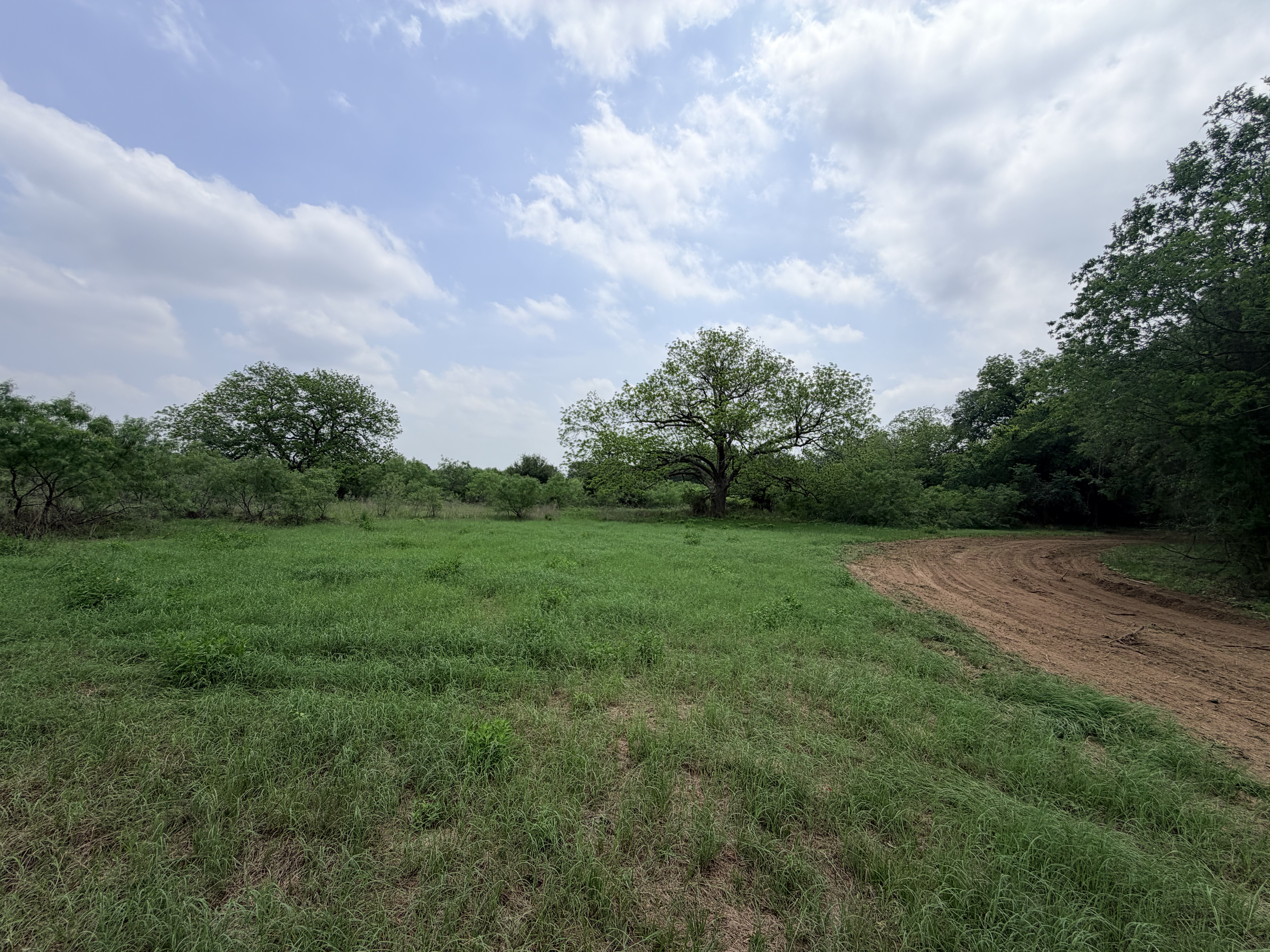 Discover a stunning piece of Central Texas landscape located in Luling, TX. This property offers over 12 acres of land, providing the perfect blend of country living and convenience. Enjoy the serene environment, just minutes from town, while experiencing true rural tranquility. The land boasts enormous shade trees and beautiful creek bottom terrain. Its gentle, sloping topography offers pristine views of the surrounding countryside, making it an ideal spot for those seeking scenic vistas. West Plum Creek runs along the backside of the property, adding to its natural appeal. The property features FM highway frontage, ensuring easy access. Several prime building sites are ready for development, with new fencing and electricity already installed. These improvements make the land immediately usable for various purposes. Situated within 5 minutes of Luling and just 10 minutes from Lockhart, this property provides quick access to nearby towns. It is less than an hour from both Austin and San Antonio, and only about 45 minutes from the Austin International Airport and Circuit of the Americas racetrack. 
NO RESTRICTIONS
AG EXEMPT - WILDLIFE