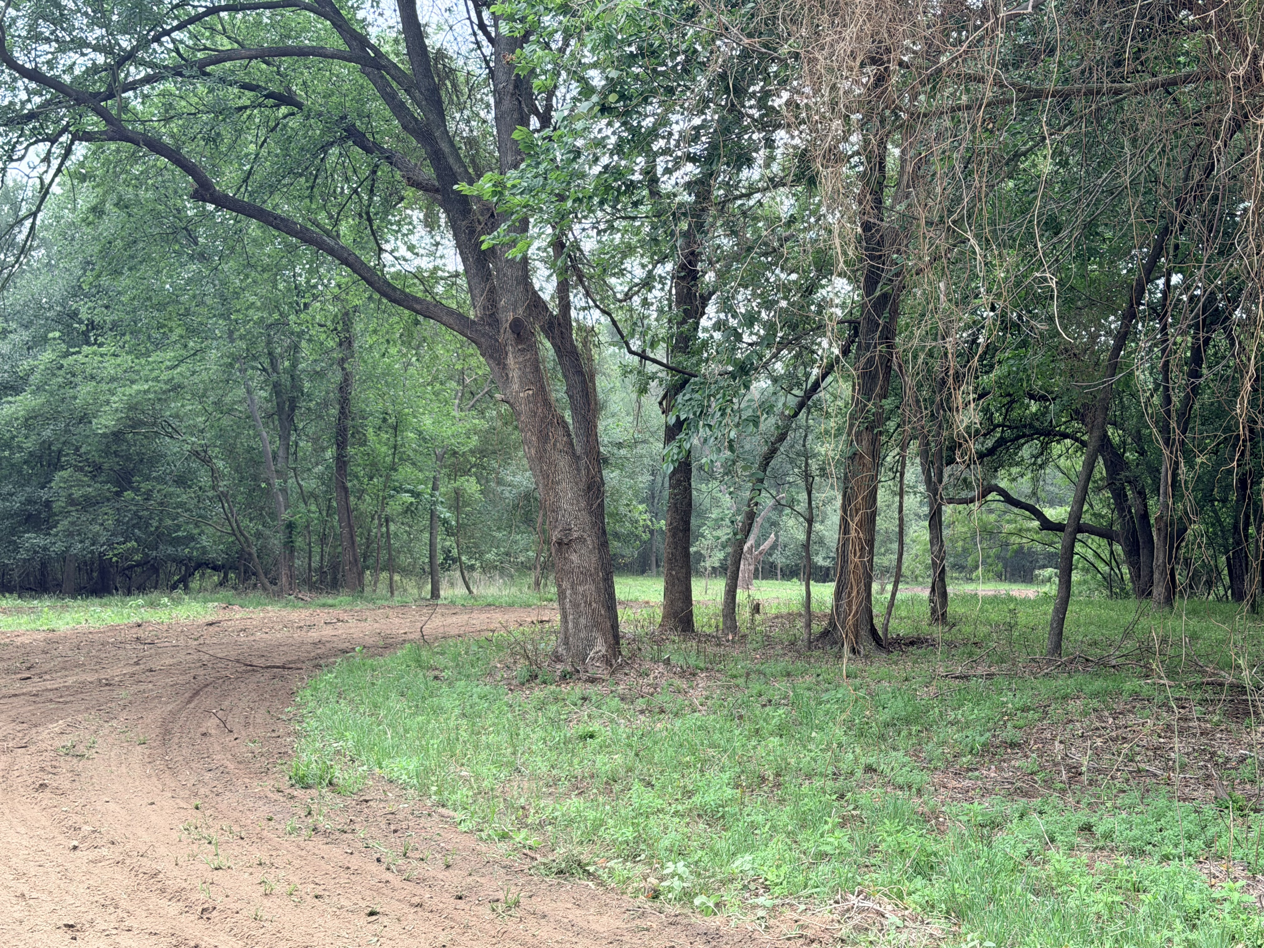 Discover a stunning piece of Central Texas landscape located in Luling, TX. This property offers over 12 acres of land, providing the perfect blend of country living and convenience. Enjoy the serene environment, just minutes from town, while experiencing true rural tranquility. The land boasts enormous shade trees and beautiful creek bottom terrain. Its gentle, sloping topography offers pristine views of the surrounding countryside, making it an ideal spot for those seeking scenic vistas. West Plum Creek runs along the backside of the property, adding to its natural appeal. The property features FM highway frontage, ensuring easy access. Several prime building sites are ready for development, with new fencing and electricity already installed. These improvements make the land immediately usable for various purposes. Situated within 5 minutes of Luling and just 10 minutes from Lockhart, this property provides quick access to nearby towns. It is less than an hour from both Austin and San Antonio, and only about 45 minutes from the Austin International Airport and Circuit of the Americas racetrack. 
NO RESTRICTIONS
AG EXEMPT - WILDLIFE