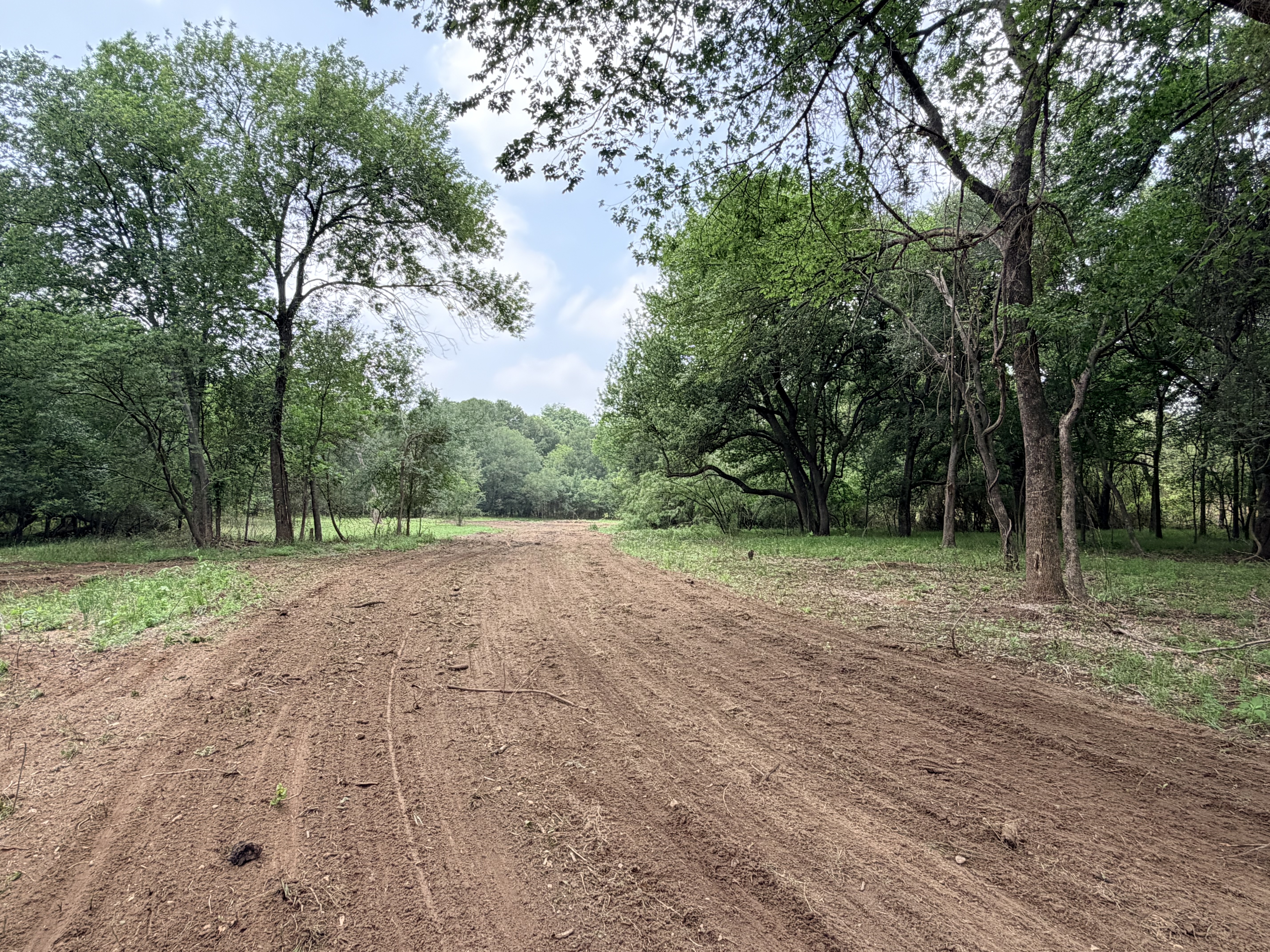 Discover a stunning piece of Central Texas landscape located in Luling, TX. This property offers over 12 acres of land, providing the perfect blend of country living and convenience. Enjoy the serene environment, just minutes from town, while experiencing true rural tranquility. The land boasts enormous shade trees and beautiful creek bottom terrain. Its gentle, sloping topography offers pristine views of the surrounding countryside, making it an ideal spot for those seeking scenic vistas. West Plum Creek runs along the backside of the property, adding to its natural appeal. The property features FM highway frontage, ensuring easy access. Several prime building sites are ready for development, with new fencing and electricity already installed. These improvements make the land immediately usable for various purposes. Situated within 5 minutes of Luling and just 10 minutes from Lockhart, this property provides quick access to nearby towns. It is less than an hour from both Austin and San Antonio, and only about 45 minutes from the Austin International Airport and Circuit of the Americas racetrack.
NO RESTRICTIONS
AG EXEMPT - WILDLIFE