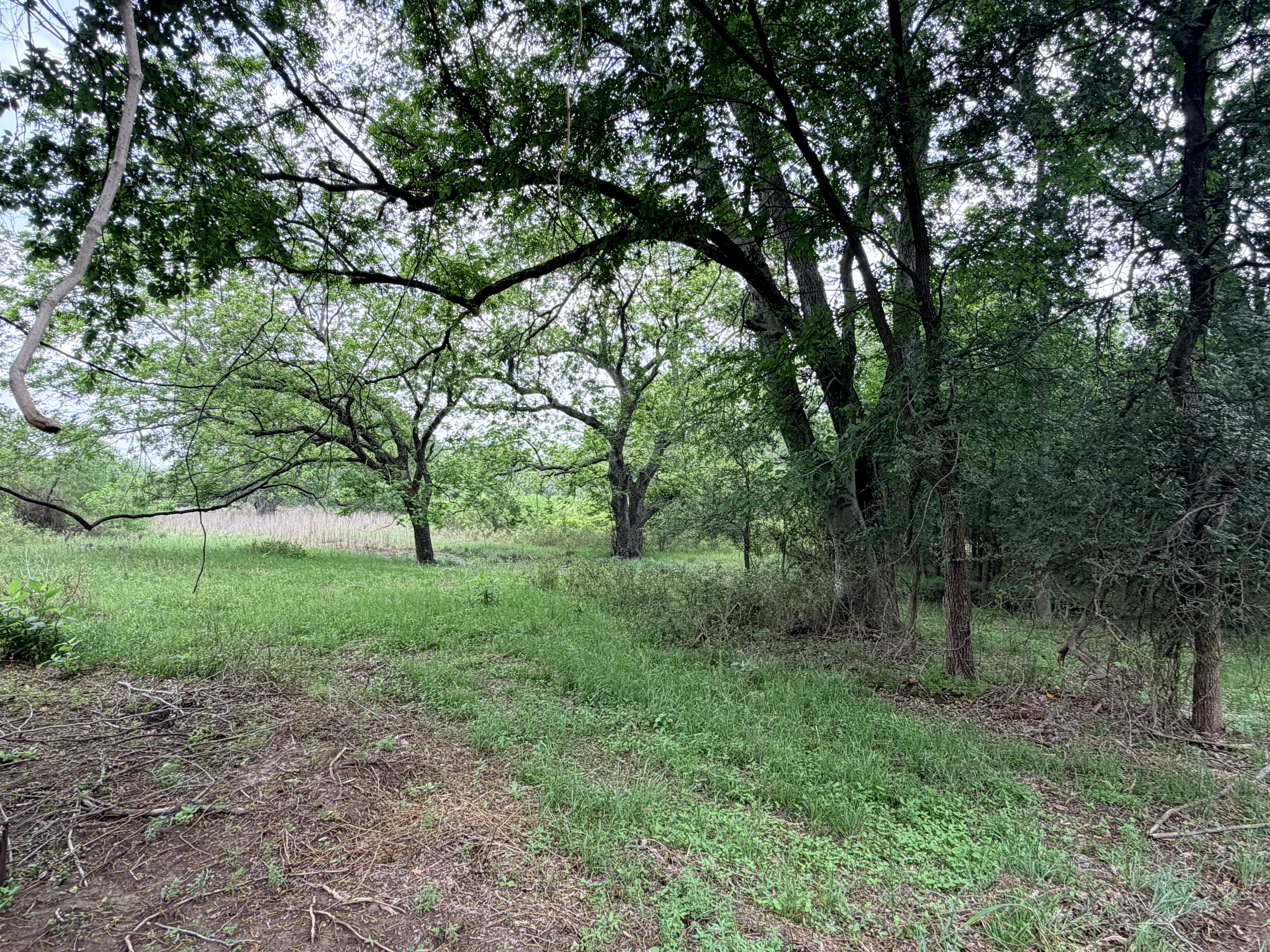 Discover a stunning piece of Central Texas landscape located in Luling, TX. This property offers over 12 acres of land, providing the perfect blend of country living and convenience. Enjoy the serene environment, just minutes from town, while experiencing true rural tranquility. The land boasts enormous shade trees and beautiful creek bottom terrain. Its gentle, sloping topography offers pristine views of the surrounding countryside, making it an ideal spot for those seeking scenic vistas. West Plum Creek runs along the backside of the property, adding to its natural appeal. The property features FM highway frontage, ensuring easy access. Several prime building sites are ready for development, with new fencing and electricity already installed. These improvements make the land immediately usable for various purposes. Situated within 5 minutes of Luling and just 10 minutes from Lockhart, this property provides quick access to nearby towns. It is less than an hour from both Austin and San Antonio, and only about 45 minutes from the Austin International Airport and Circuit of the Americas racetrack. 
NO RESTRICTIONS
AG EXEMPT - WILDLIFE