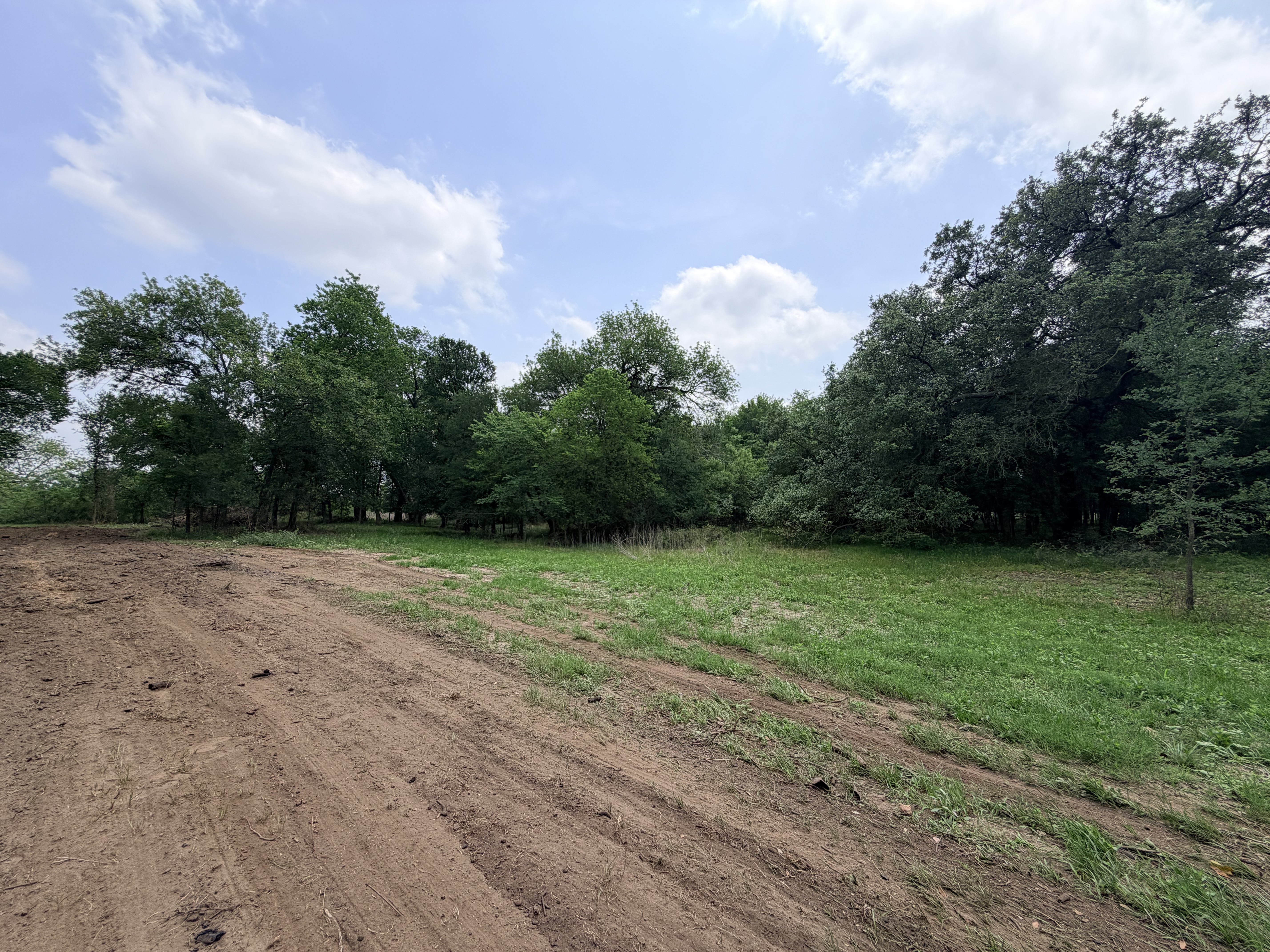 Discover a stunning piece of Central Texas landscape located in Luling, TX. This property offers over 12 acres of land, providing the perfect blend of country living and convenience. Enjoy the serene environment, just minutes from town, while experiencing true rural tranquility. The land boasts enormous shade trees and beautiful creek bottom terrain. Its gentle, sloping topography offers pristine views of the surrounding countryside, making it an ideal spot for those seeking scenic vistas. West Plum Creek runs along the backside of the property, adding to its natural appeal. The property features FM highway frontage, ensuring easy access. Several prime building sites are ready for development, with new fencing and electricity already installed. These improvements make the land immediately usable for various purposes. Situated within 5 minutes of Luling and just 10 minutes from Lockhart, this property provides quick access to nearby towns. It is less than an hour from both Austin and San Antonio, and only about 45 minutes from the Austin International Airport and Circuit of the Americas racetrack. 
NO RESTRICTIONS
AG EXEMPT - WILDLIFE