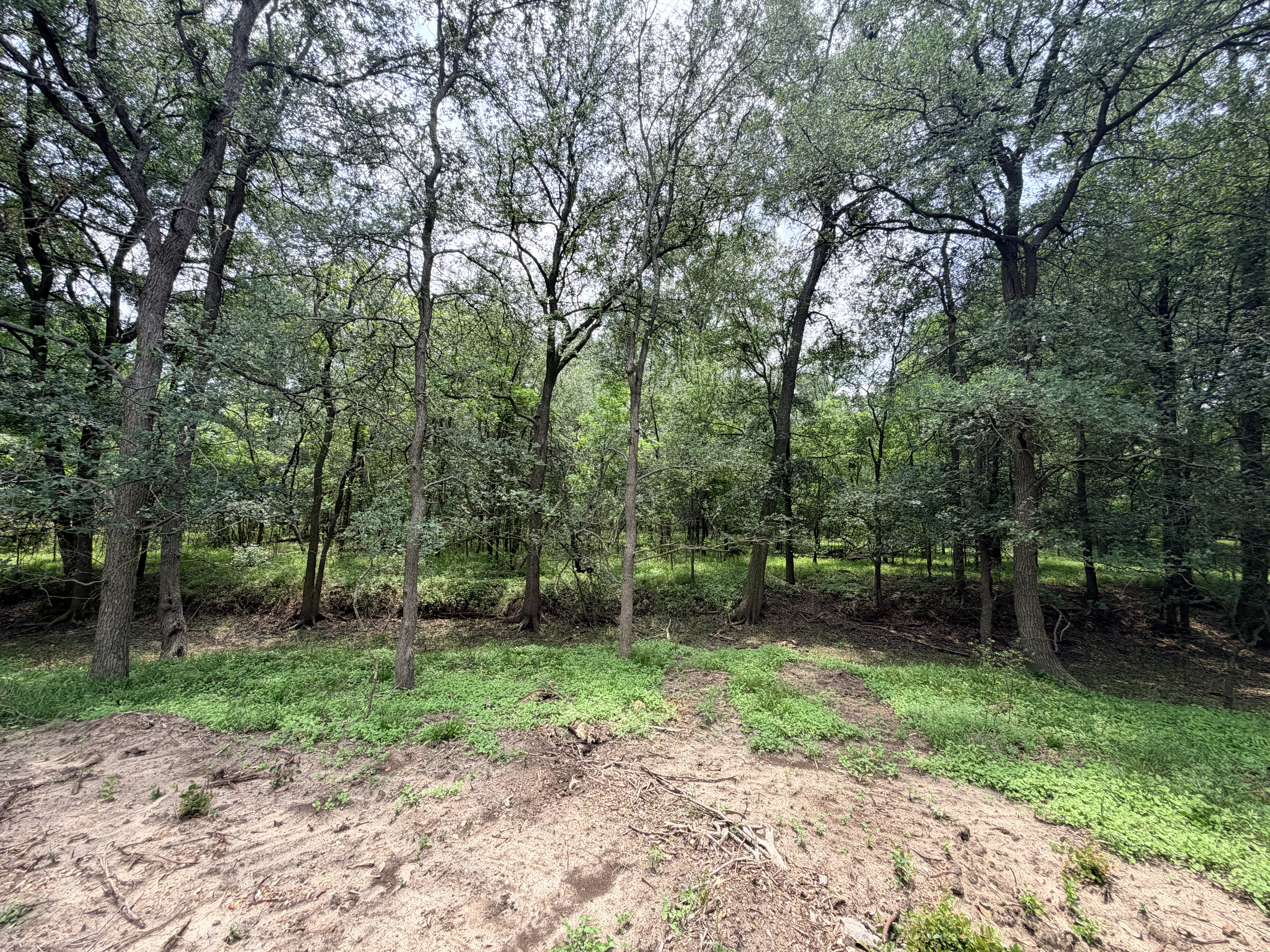 Discover a stunning piece of Central Texas landscape located in Luling, TX. This property offers over 12 acres of land, providing the perfect blend of country living and convenience. Enjoy the serene environment, just minutes from town, while experiencing true rural tranquility. The land boasts enormous shade trees and beautiful creek bottom terrain. Its gentle, sloping topography offers pristine views of the surrounding countryside, making it an ideal spot for those seeking scenic vistas. West Plum Creek runs along the backside of the property, adding to its natural appeal. The property features FM highway frontage, ensuring easy access. Several prime building sites are ready for development, with new fencing and electricity already installed. These improvements make the land immediately usable for various purposes. Situated within 5 minutes of Luling and just 10 minutes from Lockhart, this property provides quick access to nearby towns. It is less than an hour from both Austin and San Antonio, and only about 45 minutes from the Austin International Airport and Circuit of the Americas racetrack. 
NO RESTRICTIONS
AG EXEMPT - WILDLIFE
