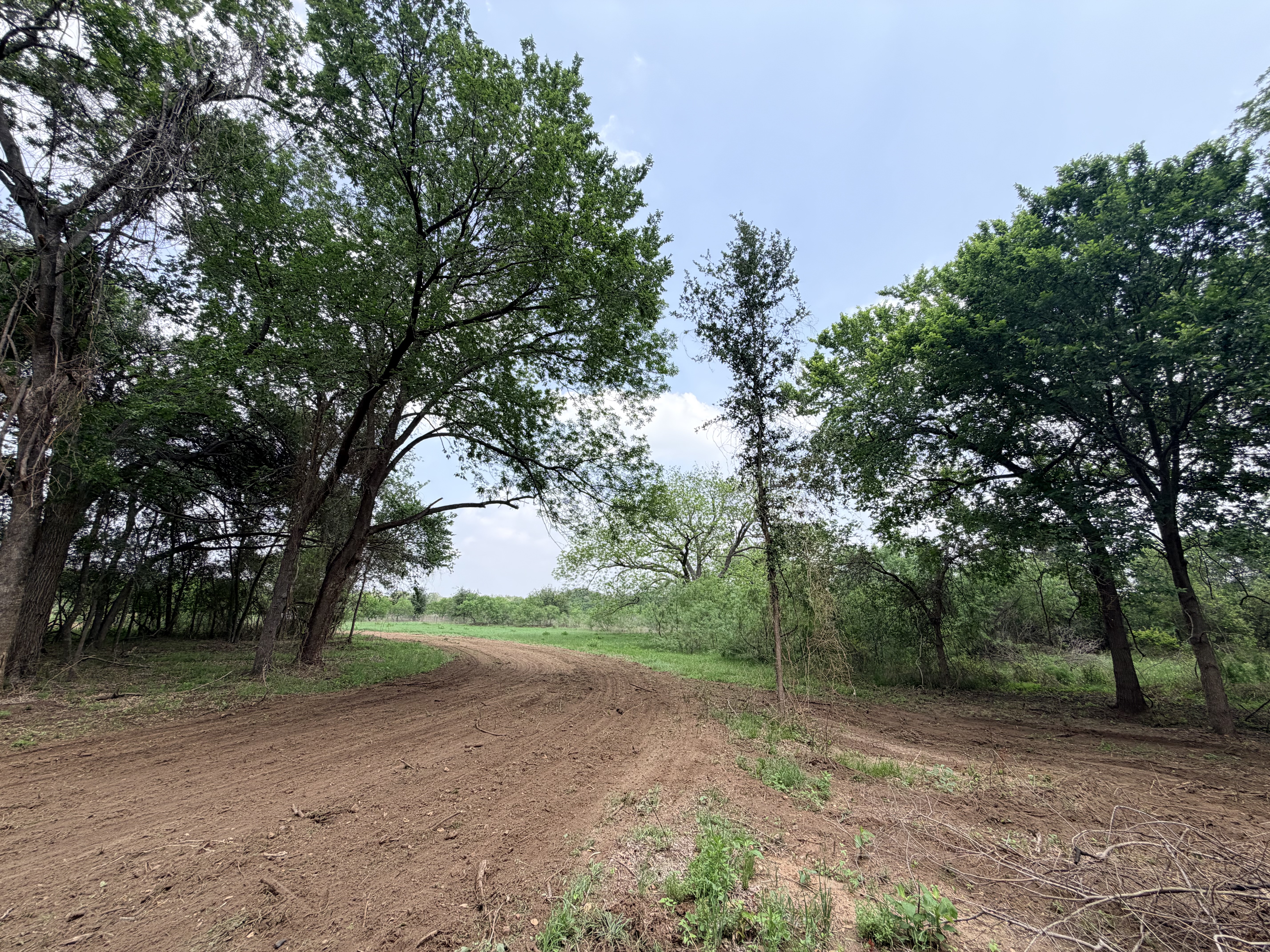Discover a stunning piece of Central Texas landscape located in Luling, TX. This property offers over 12 acres of land, providing the perfect blend of country living and convenience. Enjoy the serene environment, just minutes from town, while experiencing true rural tranquility. The land boasts enormous shade trees and beautiful creek bottom terrain. Its gentle, sloping topography offers pristine views of the surrounding countryside, making it an ideal spot for those seeking scenic vistas. West Plum Creek runs along the backside of the property, adding to its natural appeal. The property features FM highway frontage, ensuring easy access. Several prime building sites are ready for development, with new fencing and electricity already installed. These improvements make the land immediately usable for various purposes. Situated within 5 minutes of Luling and just 10 minutes from Lockhart, this property provides quick access to nearby towns. It is less than an hour from both Austin and San Antonio, and only about 45 minutes from the Austin International Airport and Circuit of the Americas racetrack. 
NO RESTRICTIONS
AG EXEMPT - WILDLIFE