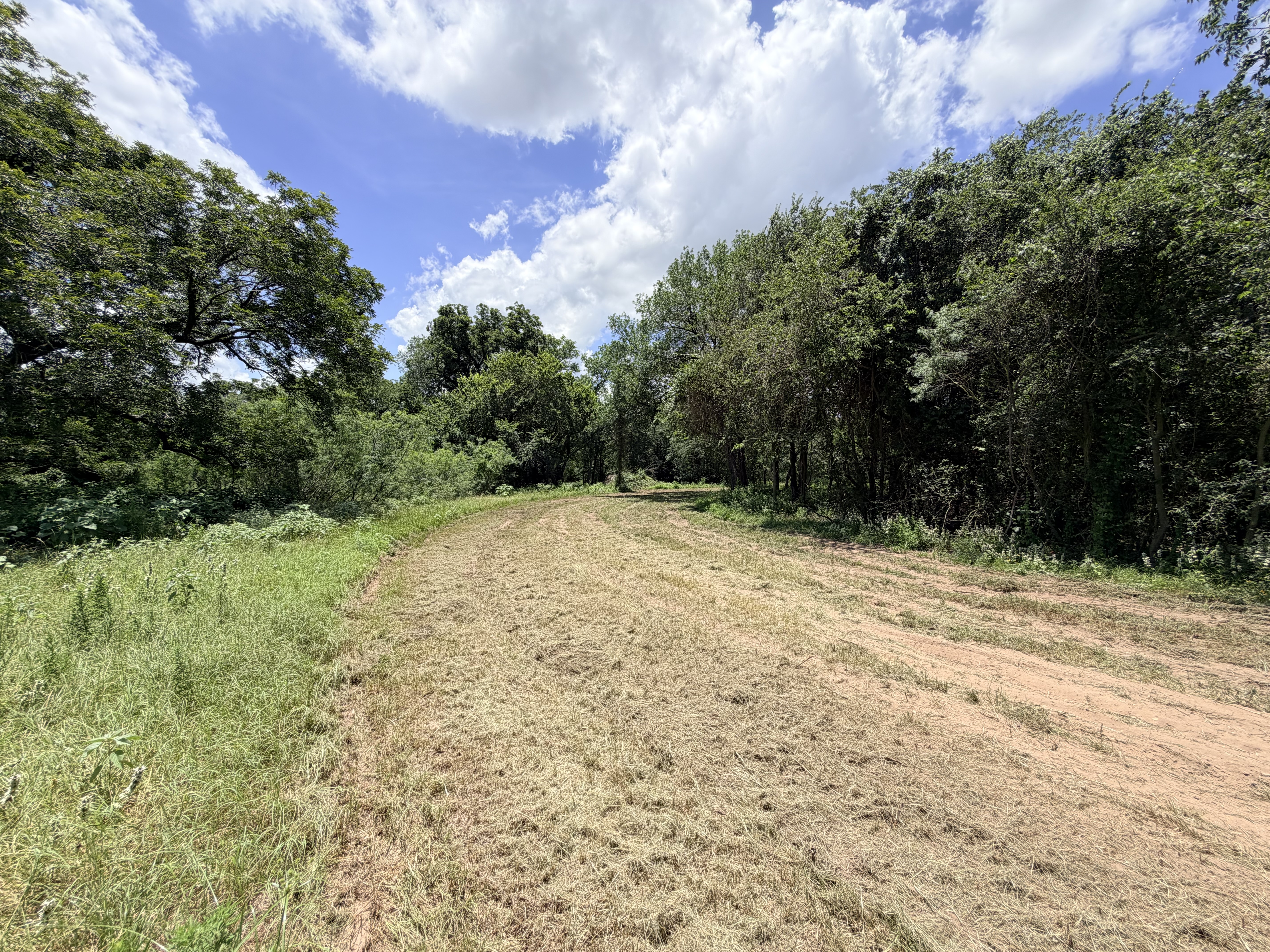Discover a stunning piece of Central Texas landscape located in Luling, TX. This property offers over 12 acres of land, providing the perfect blend of country living and convenience. Enjoy the serene environment, just minutes from town, while experiencing true rural tranquility. The land boasts enormous shade trees and beautiful creek bottom terrain. Its gentle, sloping topography offers pristine views of the surrounding countryside, making it an ideal spot for those seeking scenic vistas. West Plum Creek runs along the backside of the property, adding to its natural appeal. The property features FM highway frontage, ensuring easy access. Several prime building sites are ready for development, with new fencing and electricity already installed. These improvements make the land immediately usable for various purposes. Situated within 5 minutes of Luling and just 10 minutes from Lockhart, this property provides quick access to nearby towns. It is less than an hour from both Austin and San Antonio, and only about 45 minutes from the Austin International Airport and Circuit of the Americas racetrack. 
NO RESTRICTIONS
AG EXEMPT - WILDLIFE