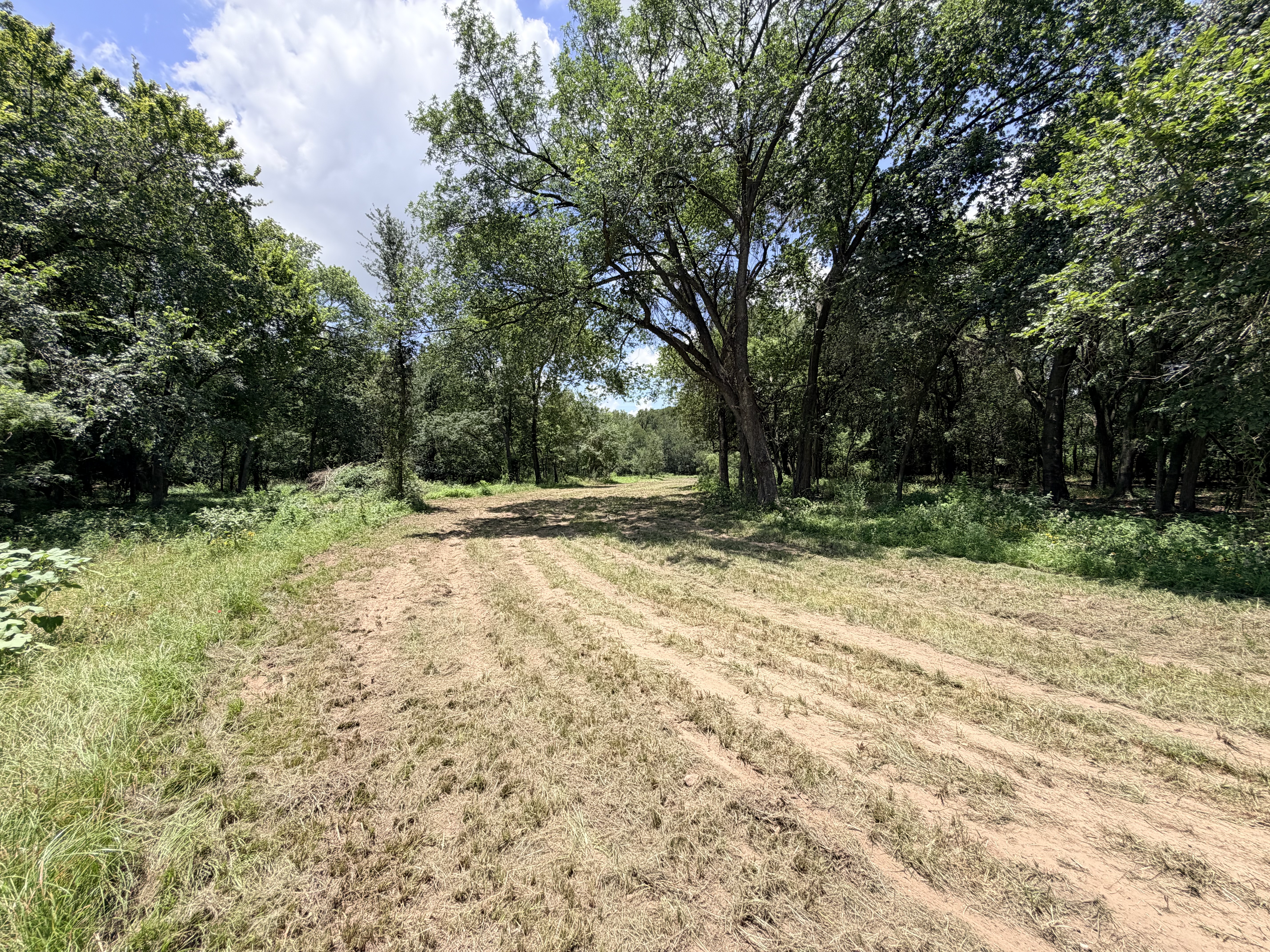 Discover a stunning piece of Central Texas landscape located in Luling, TX. This property offers over 12 acres of land, providing the perfect blend of country living and convenience. Enjoy the serene environment, just minutes from town, while experiencing true rural tranquility. The land boasts enormous shade trees and beautiful creek bottom terrain. Its gentle, sloping topography offers pristine views of the surrounding countryside, making it an ideal spot for those seeking scenic vistas. West Plum Creek runs along the backside of the property, adding to its natural appeal. The property features FM highway frontage, ensuring easy access. Several prime building sites are ready for development, with new fencing and electricity already installed. These improvements make the land immediately usable for various purposes. Situated within 5 minutes of Luling and just 10 minutes from Lockhart, this property provides quick access to nearby towns. It is less than an hour from both Austin and San Antonio, and only about 45 minutes from the Austin International Airport and Circuit of the Americas racetrack. 
NO RESTRICTIONS
AG EXEMPT - WILDLIFE