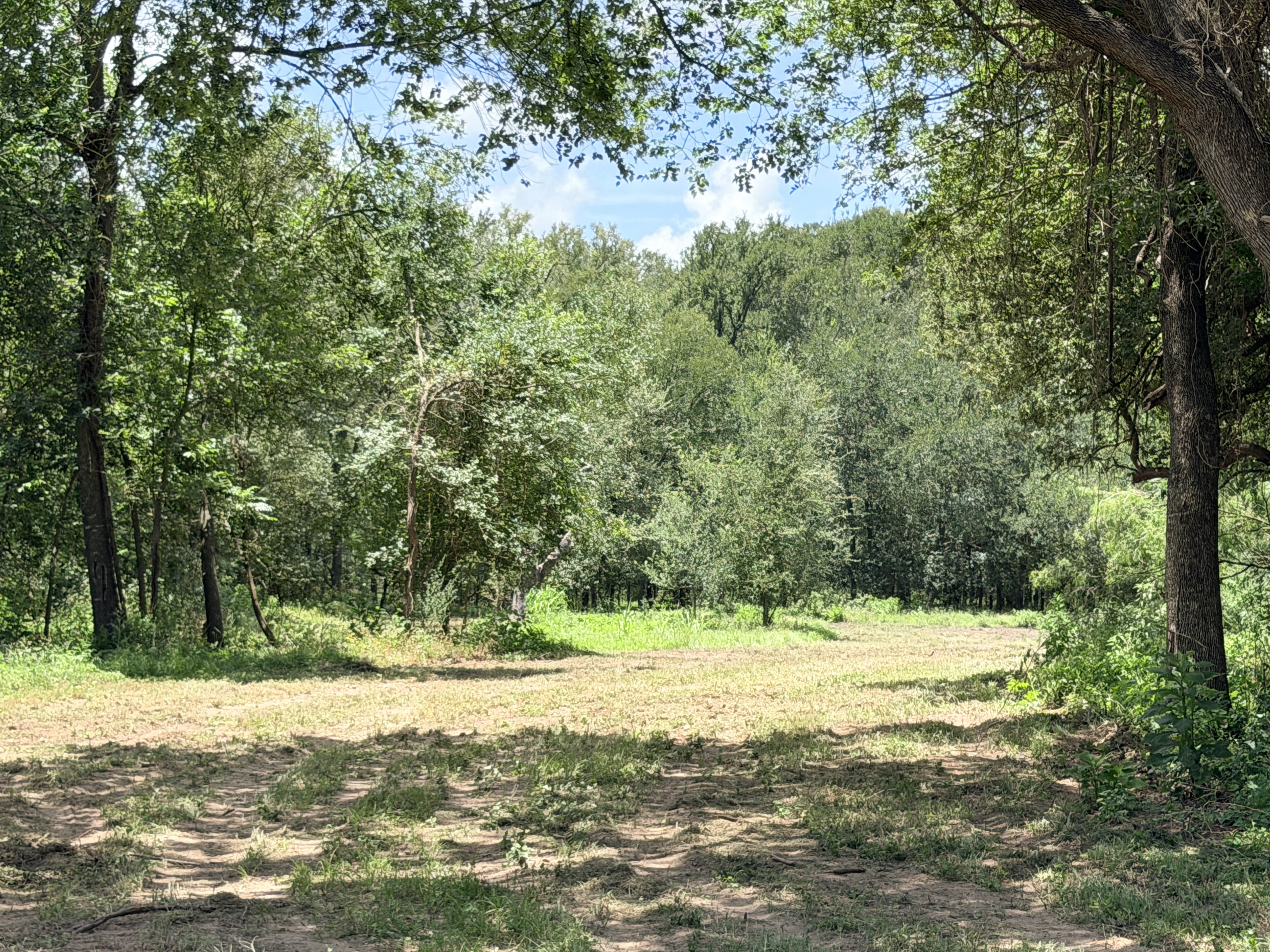 Discover a stunning piece of Central Texas landscape located in Luling, TX. This property offers over 12 acres of land, providing the perfect blend of country living and convenience. Enjoy the serene environment, just minutes from town, while experiencing true rural tranquility. The land boasts enormous shade trees and beautiful creek bottom terrain. Its gentle, sloping topography offers pristine views of the surrounding countryside, making it an ideal spot for those seeking scenic vistas. West Plum Creek runs along the backside of the property, adding to its natural appeal. The property features FM highway frontage, ensuring easy access. Several prime building sites are ready for development, with new fencing and electricity already installed. These improvements make the land immediately usable for various purposes. Situated within 5 minutes of Luling and just 10 minutes from Lockhart, this property provides quick access to nearby towns. It is less than an hour from both Austin and San Antonio, and only about 45 minutes from the Austin International Airport and Circuit of the Americas racetrack. 
NO RESTRICTIONS
AG EXEMPT - WILDLIFE